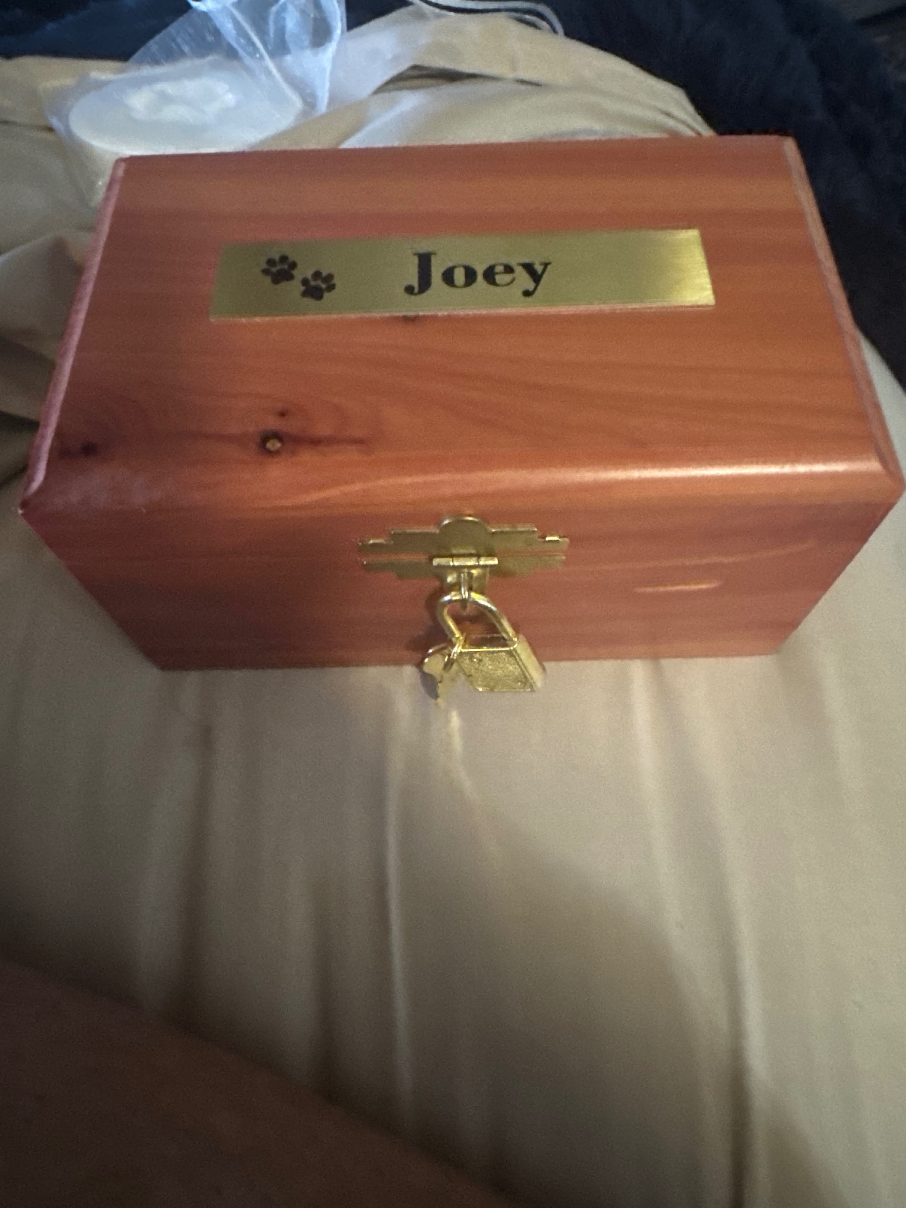 Justice 4 Joey: Legal Action for His Death campaign photo, 4 of 8