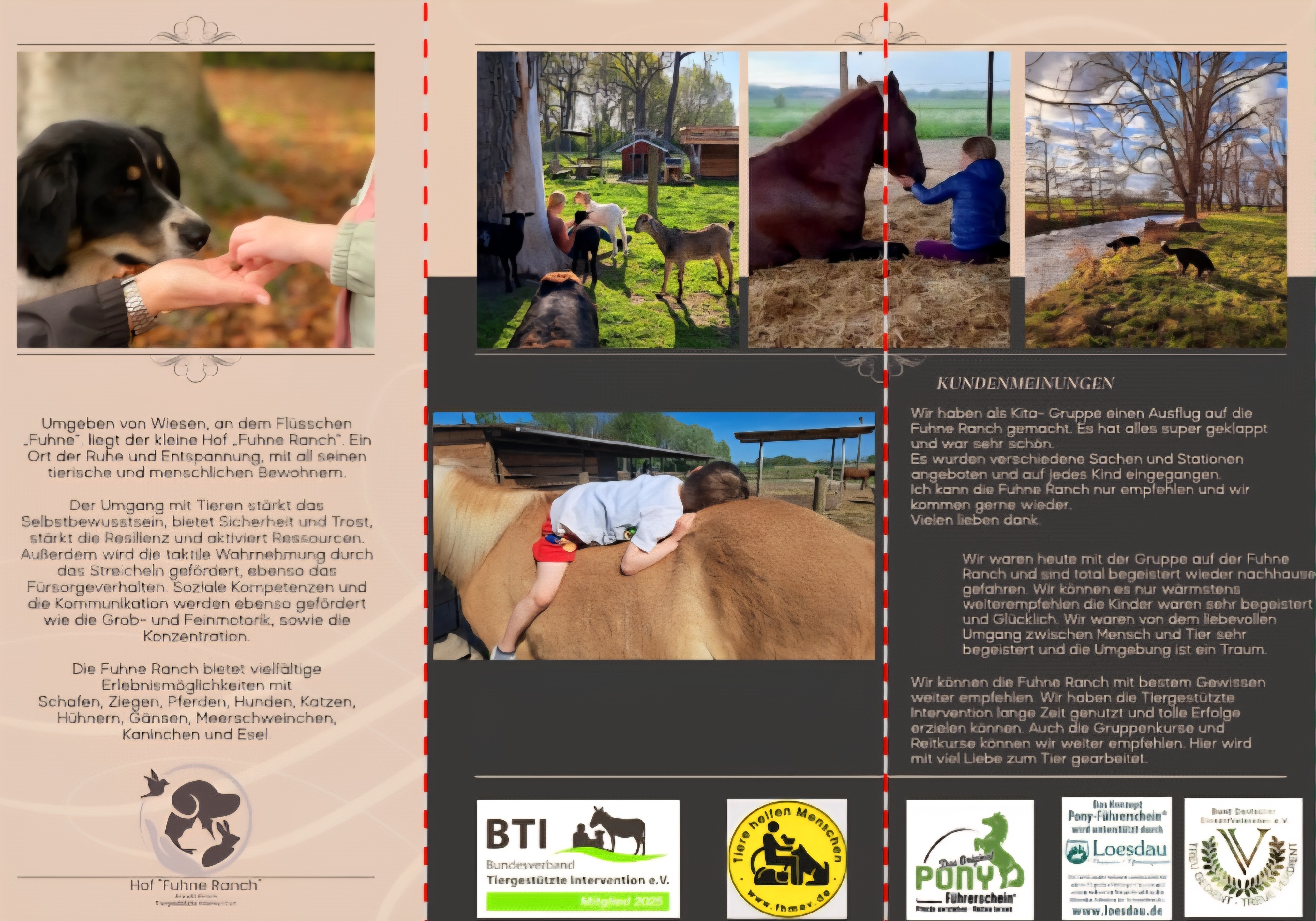 Projekt Weidezelt für die Tiergestützte Intervention campaign photo, 2 of 5