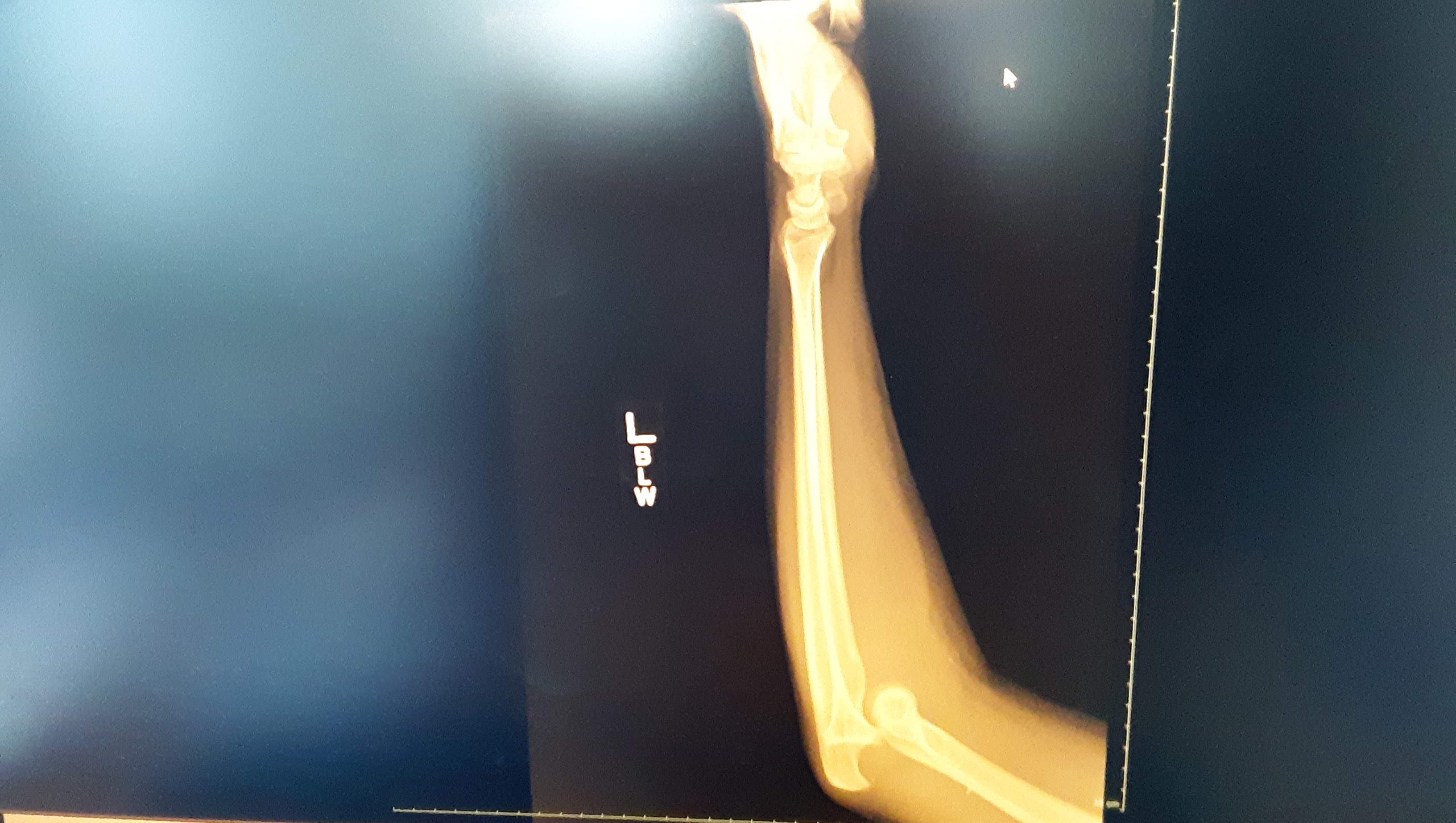 Please help to pay bills pinned link photo