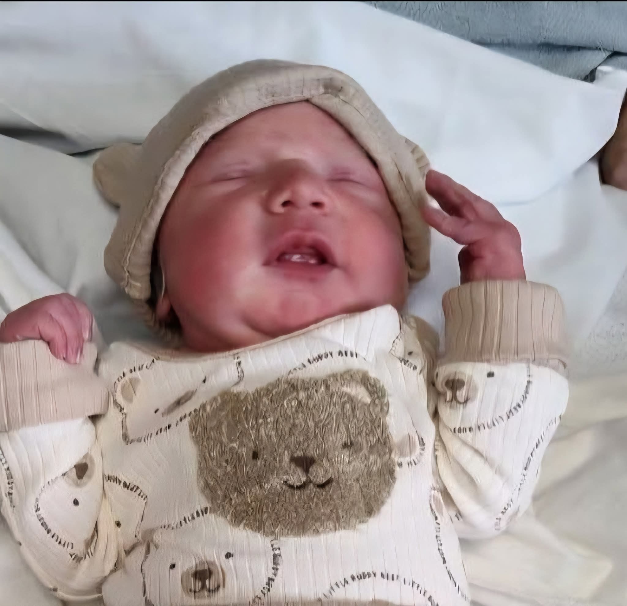 User-uploaded image 1