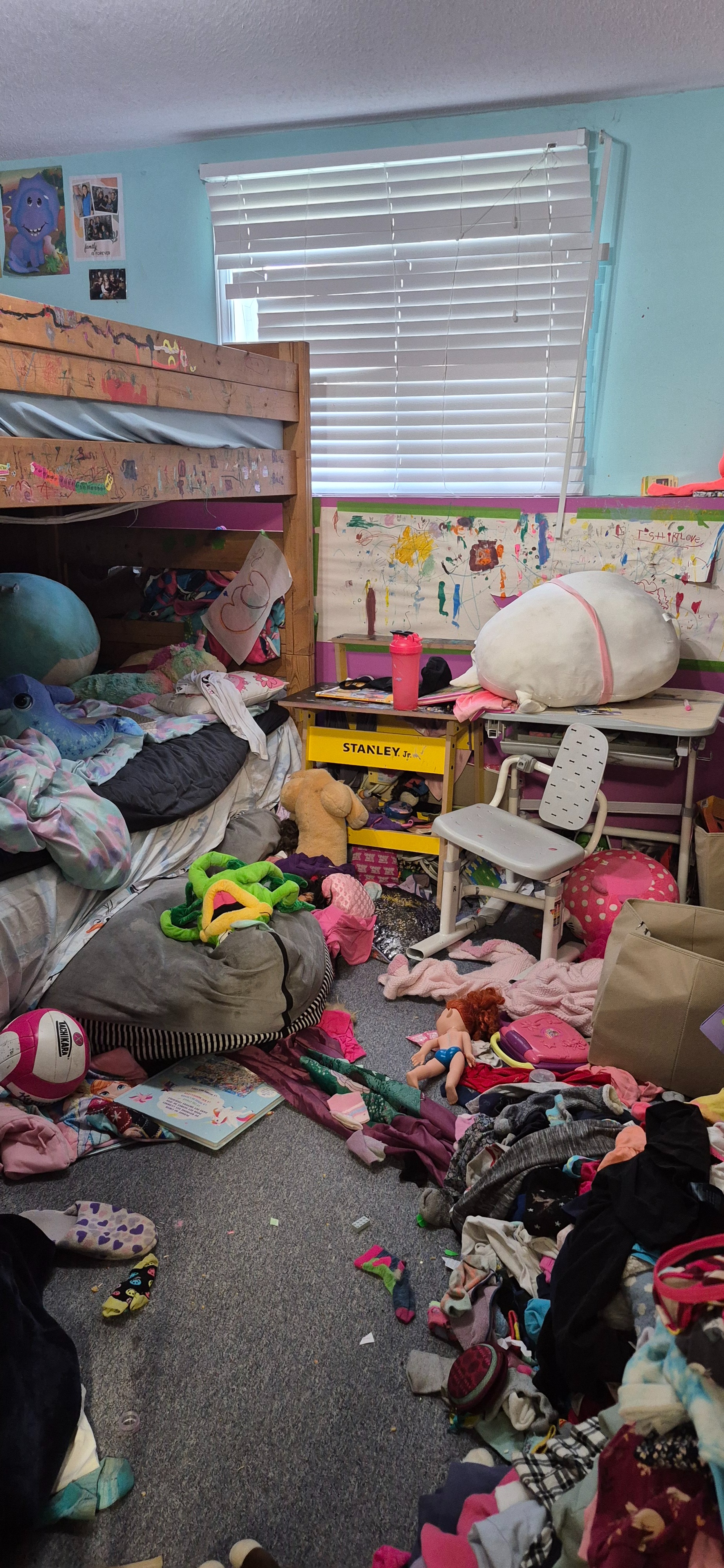 User-uploaded image 1