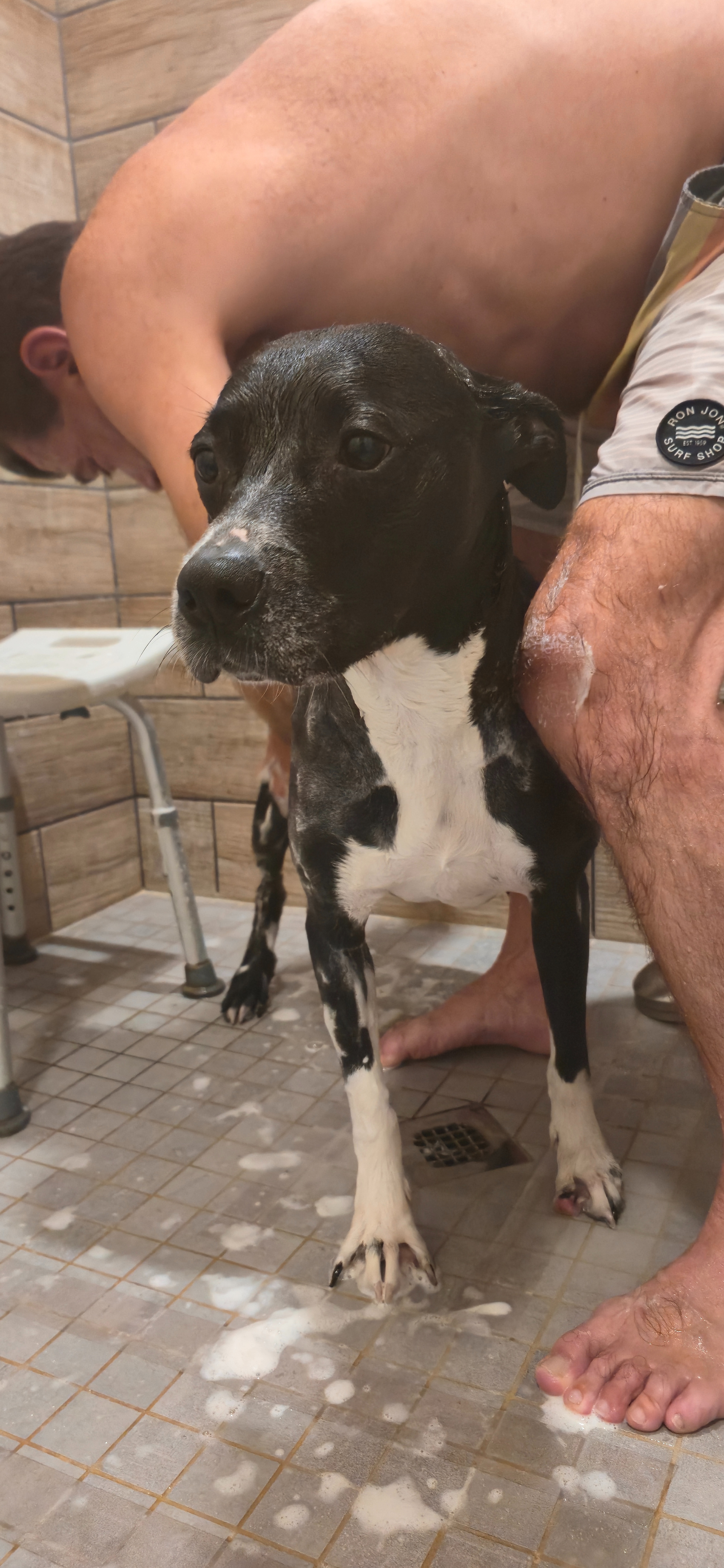 Donate to Rescue Abused Animals in Lawrence County campaign photo, 5 of 8