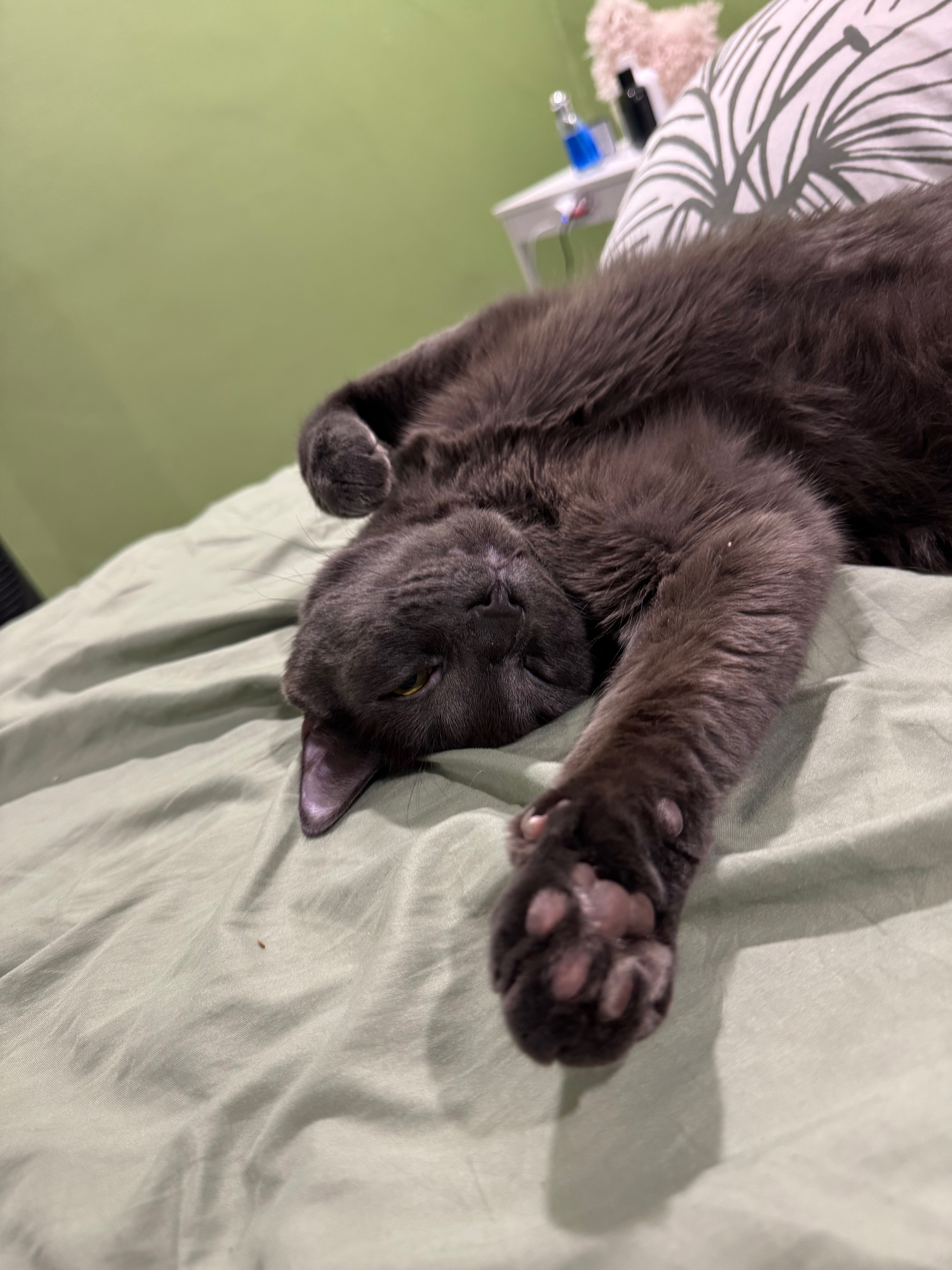 Pico’s Emergency Surgery campaign photo, 4 of 5
