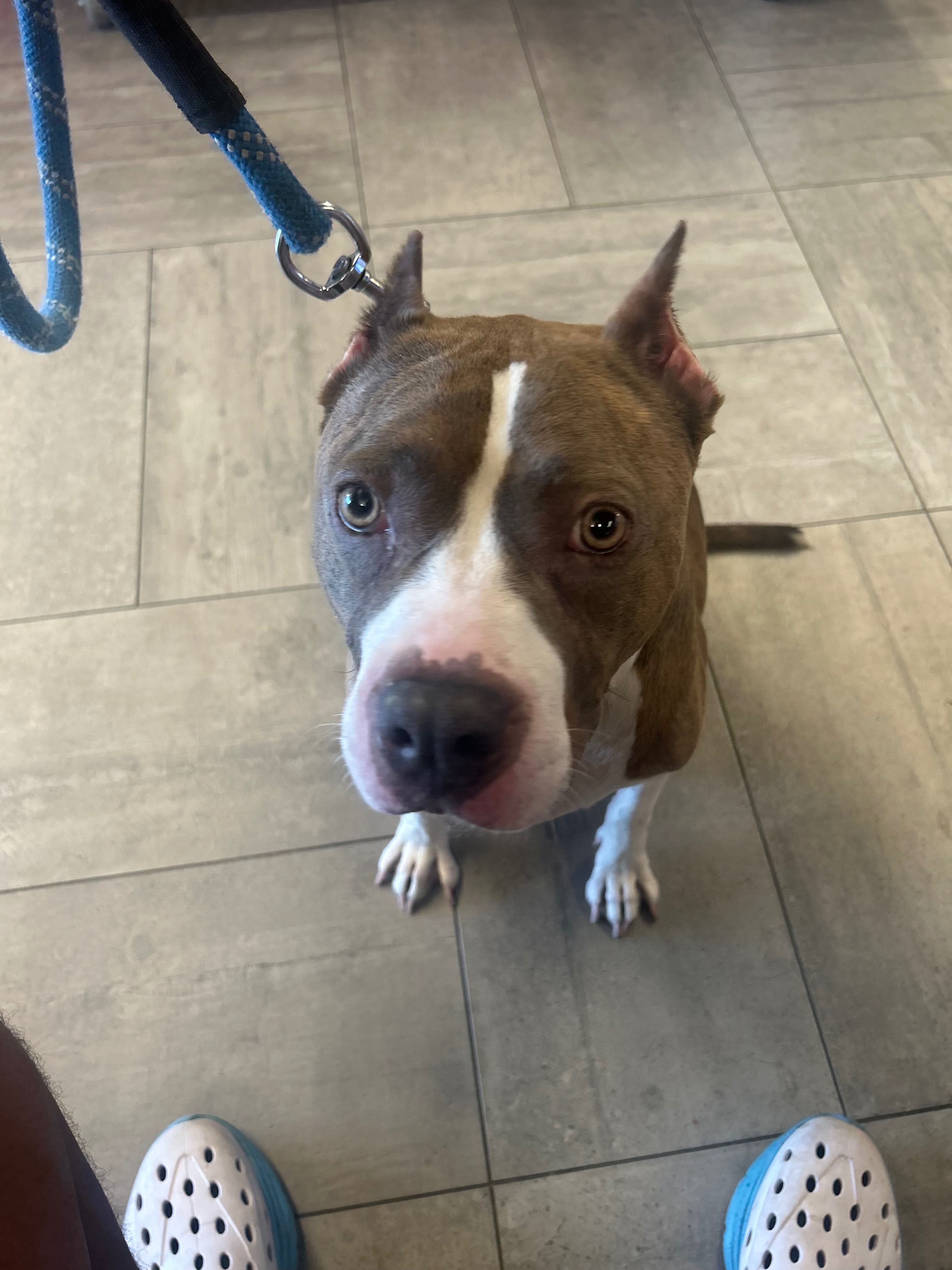 Save Zara: Urgent Surgery Needed campaign photo, 5 of 8