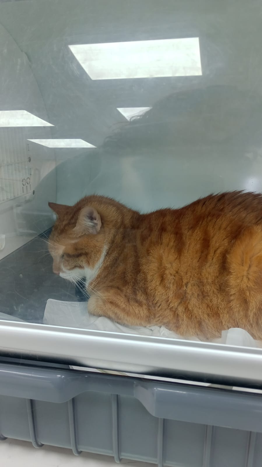 User-uploaded image 1