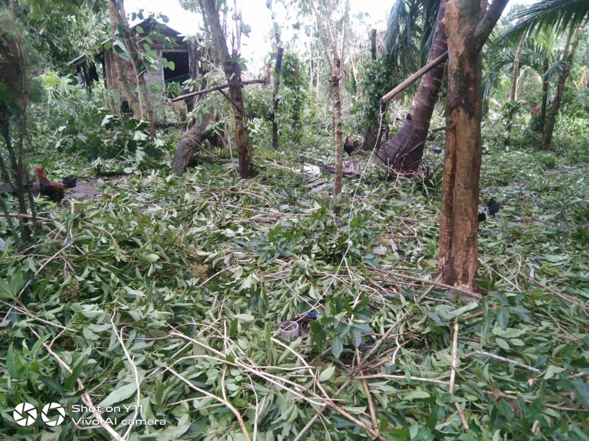 Cyclone Relief For Masbate campaign photo, 7 of 8