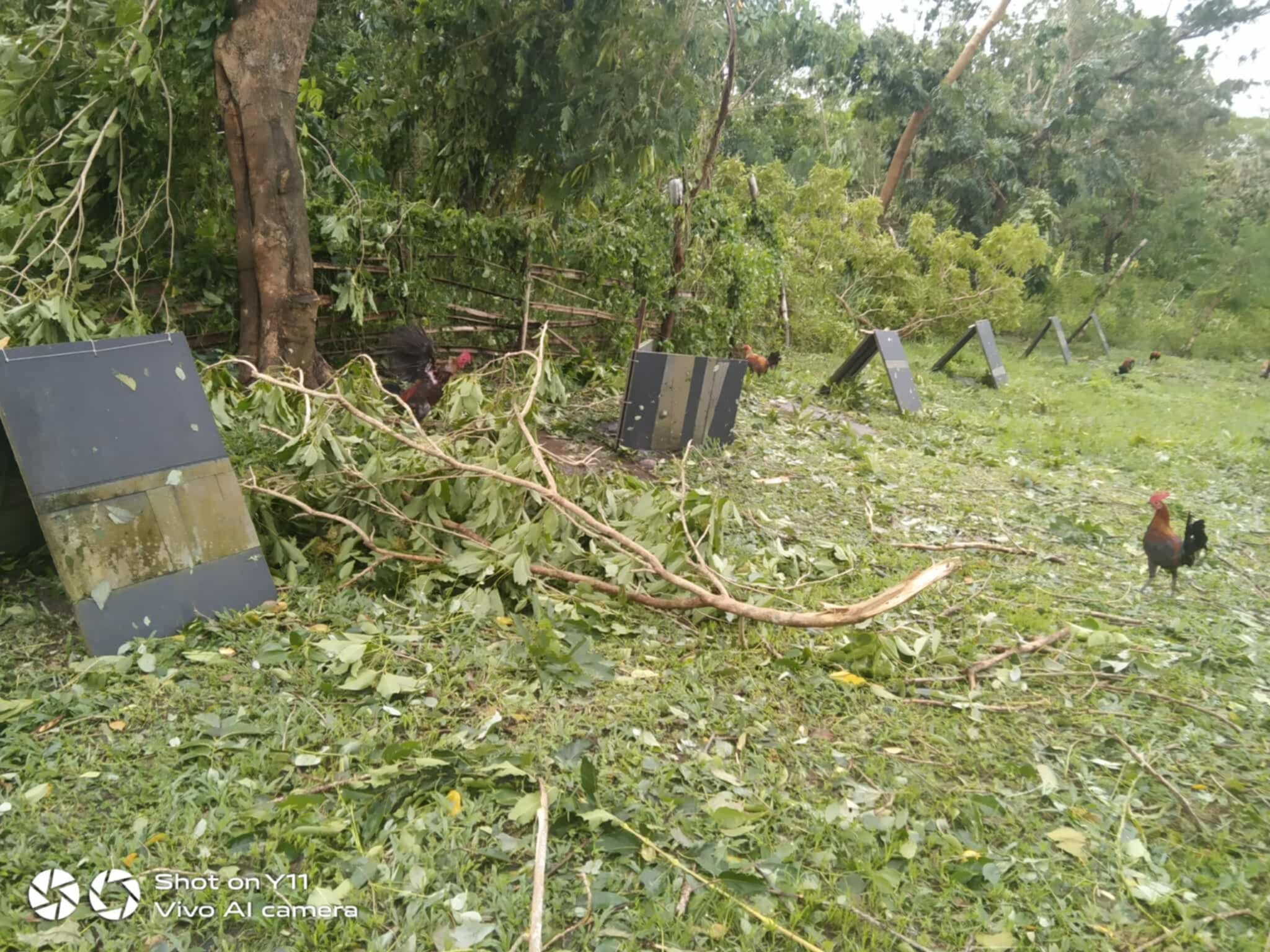 Cyclone Relief For Masbate campaign photo, 4 of 8