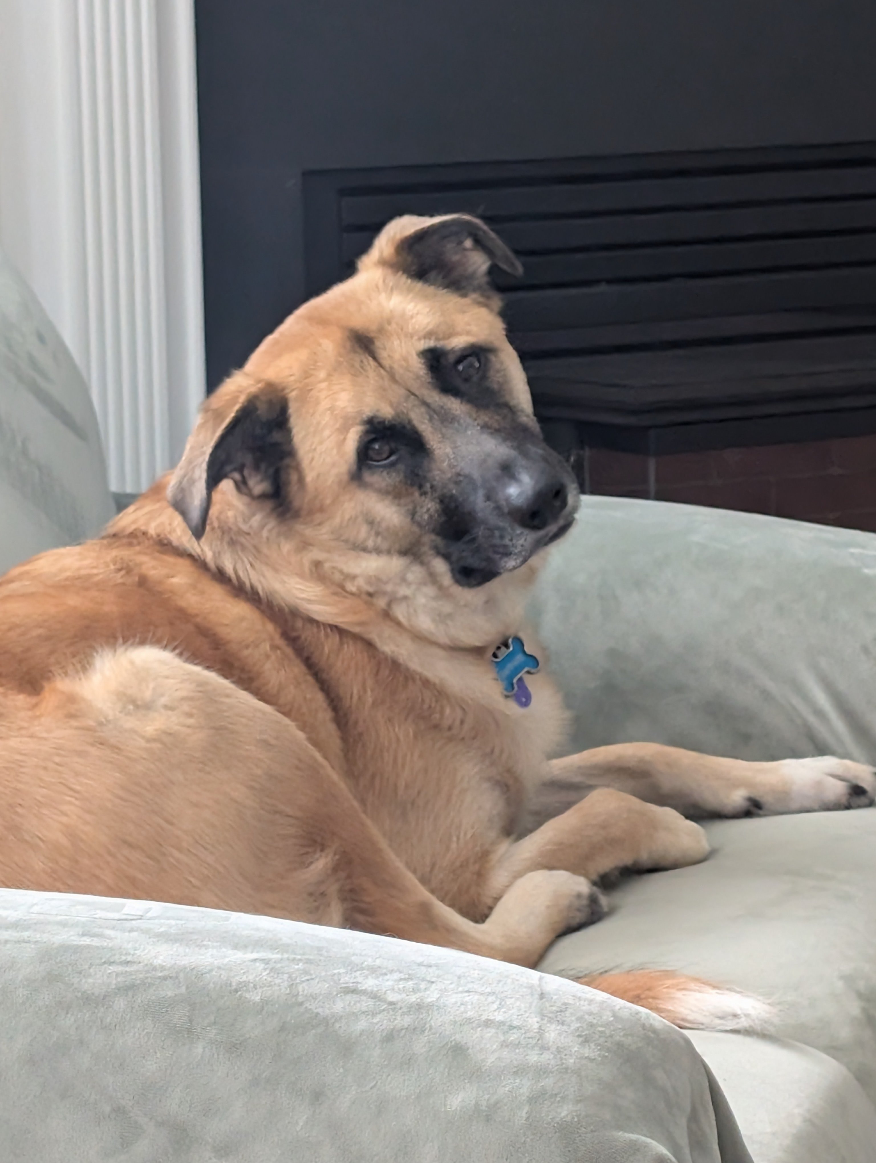 Help Ranae Recover from Saving Sapphire campaign photo, 6 of 8