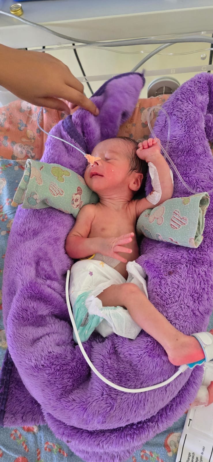 Help Donna Popich's Grandson Survive NICU in Nepal campaign photo, 2 of 4