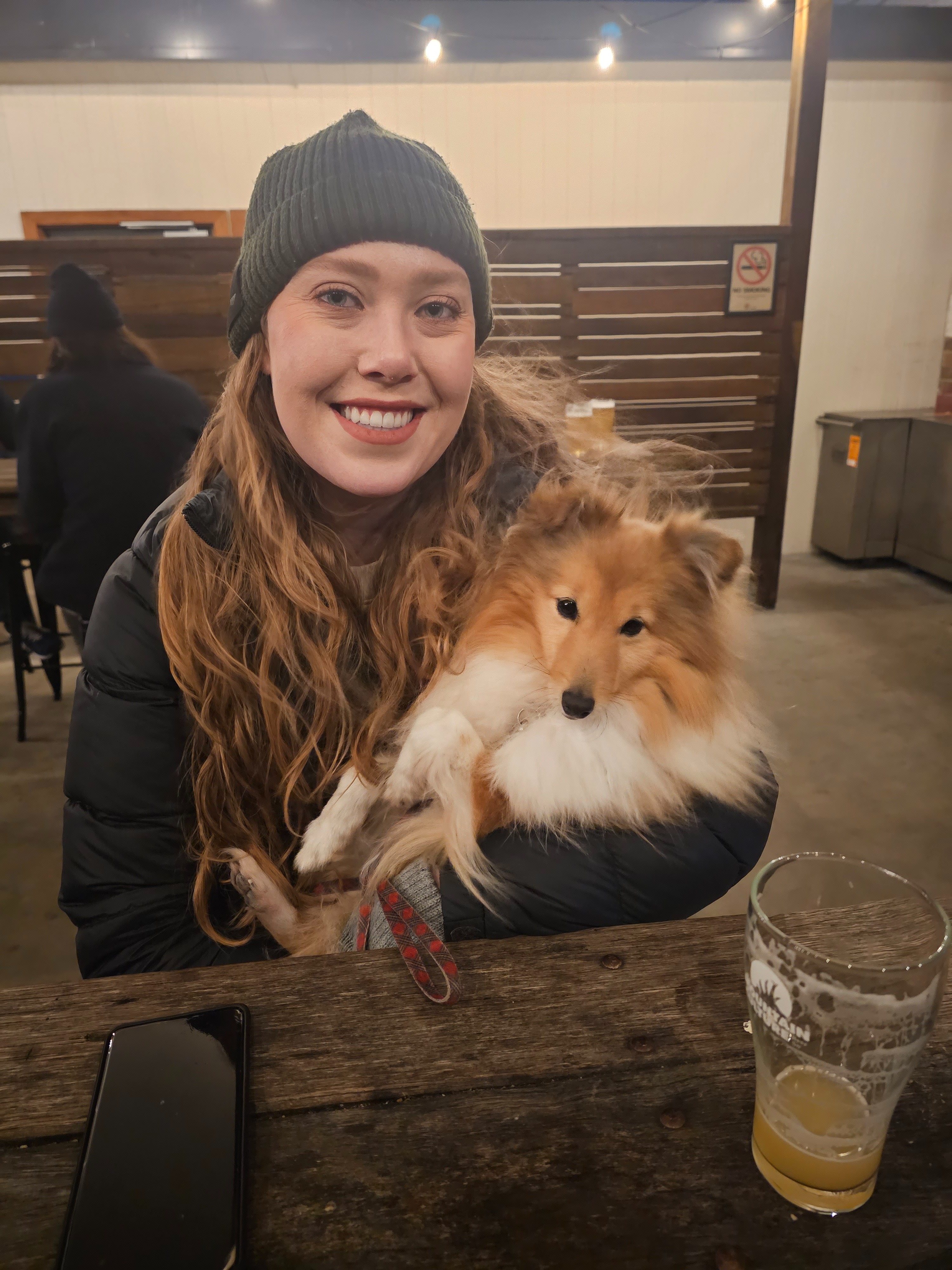 Aria the Shetland Sheepdog's emergency medical fund campaign photo, 2 of 6
