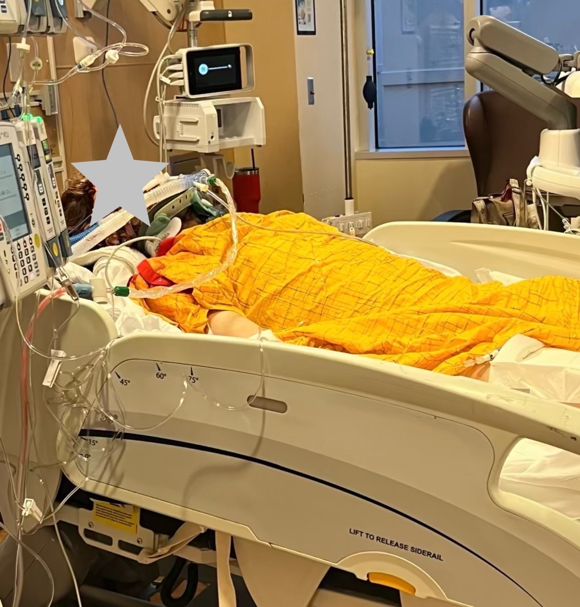 Donate to Aid Seth Van Dine’s Healing Journey campaign photo, 2 of 5