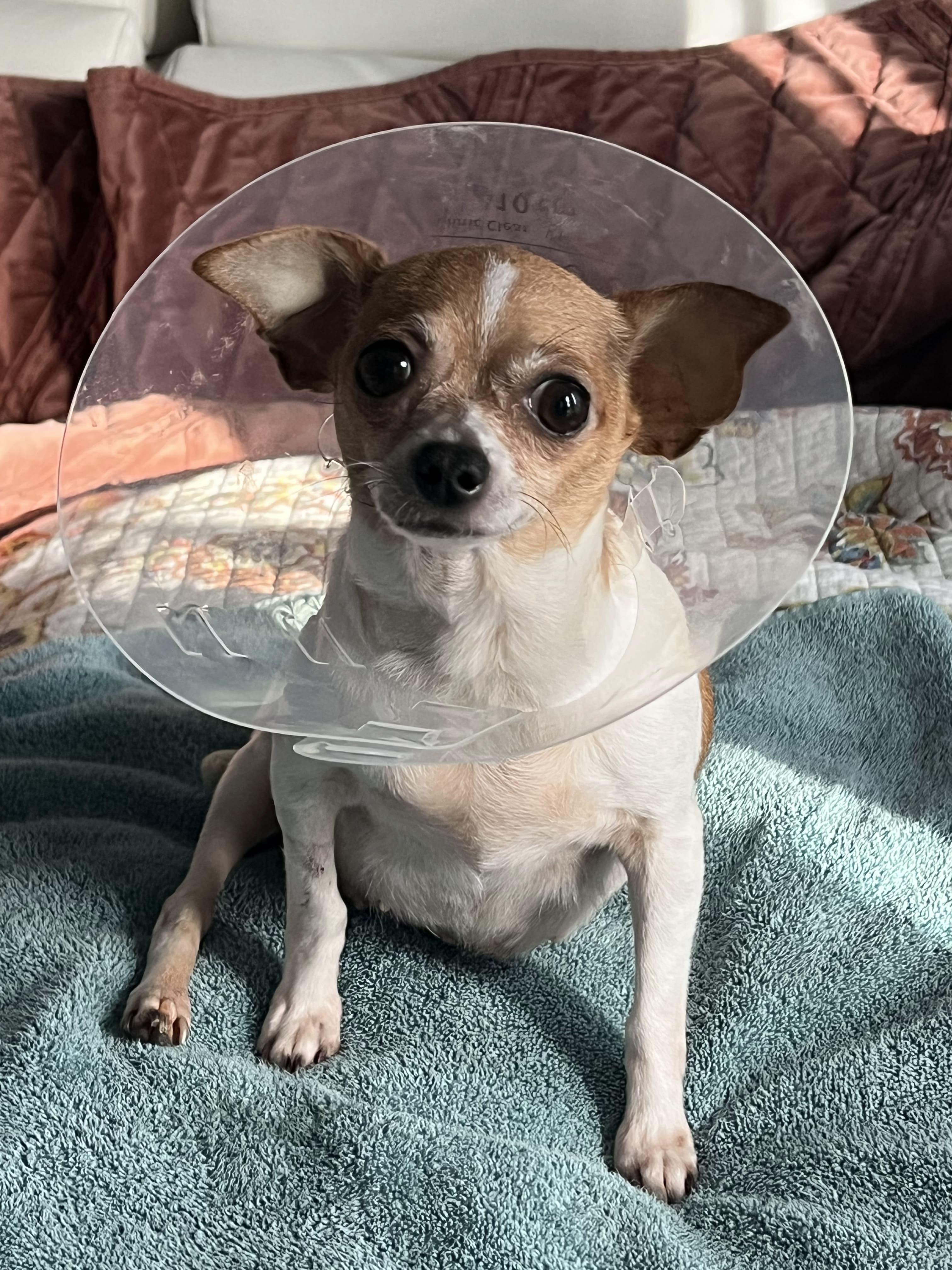 I am Susy and I need to get better . Your donation will help campaign photo, 2 of 4