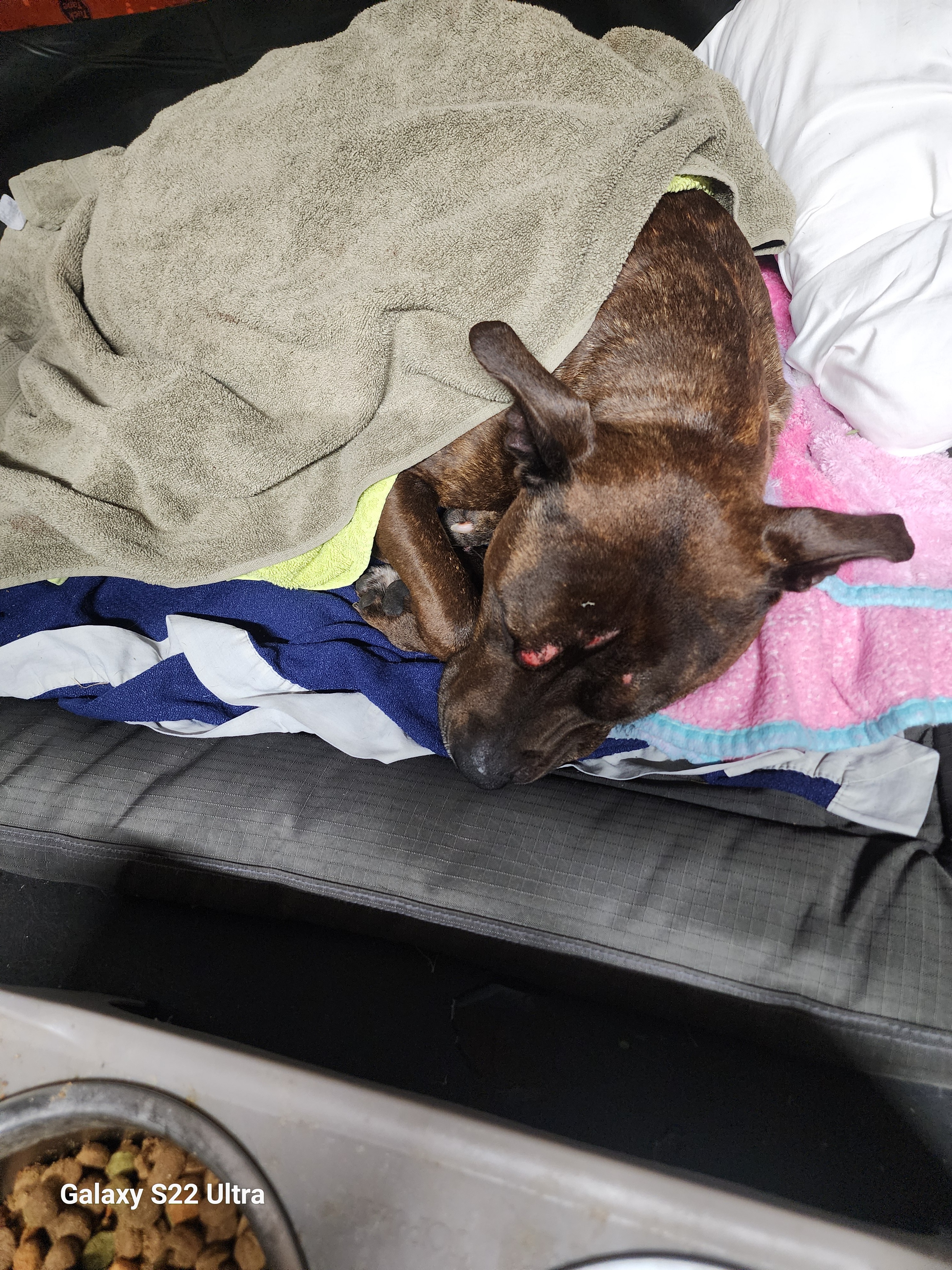 User-uploaded image 1