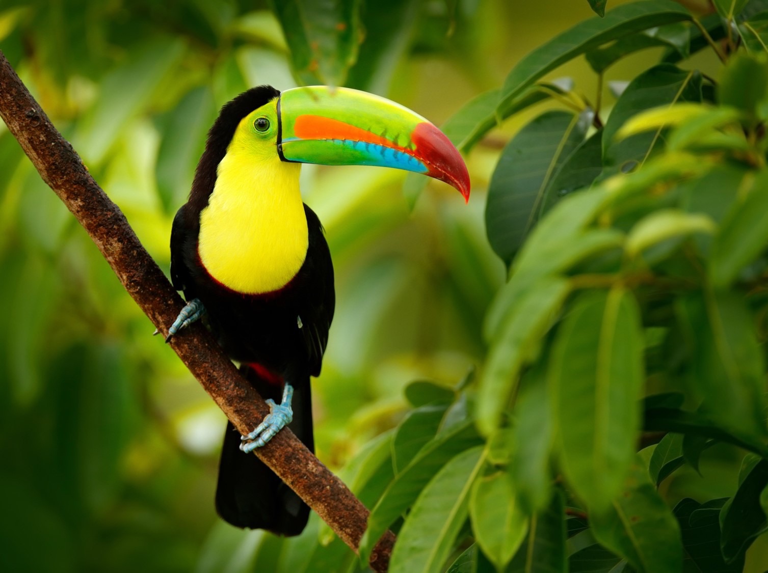 Oscar’s Costa Rica Expedition campaign photo, 2 of 8