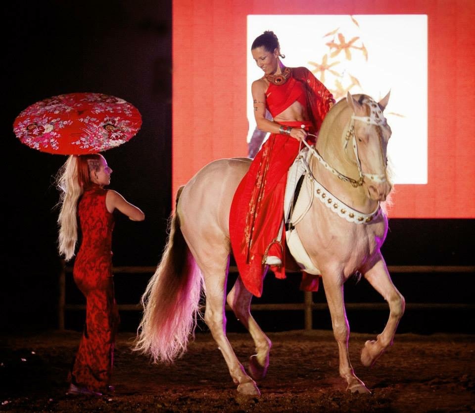 Foto della campagna Un sogno tra Cavalli e Arte: accademia d’arte Equestre, 7 di 8