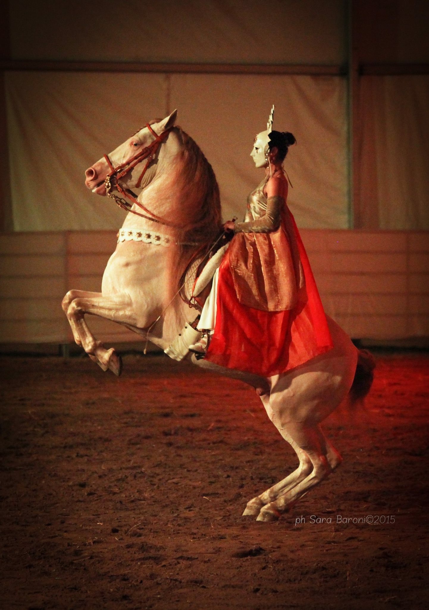 Foto della campagna Un sogno tra Cavalli e Arte: accademia d’arte Equestre, 2 di 8