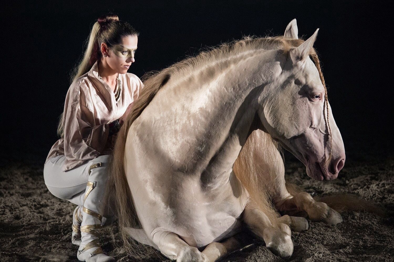 Foto della campagna Un sogno tra Cavalli e Arte: accademia d’arte Equestre, 4 di 8