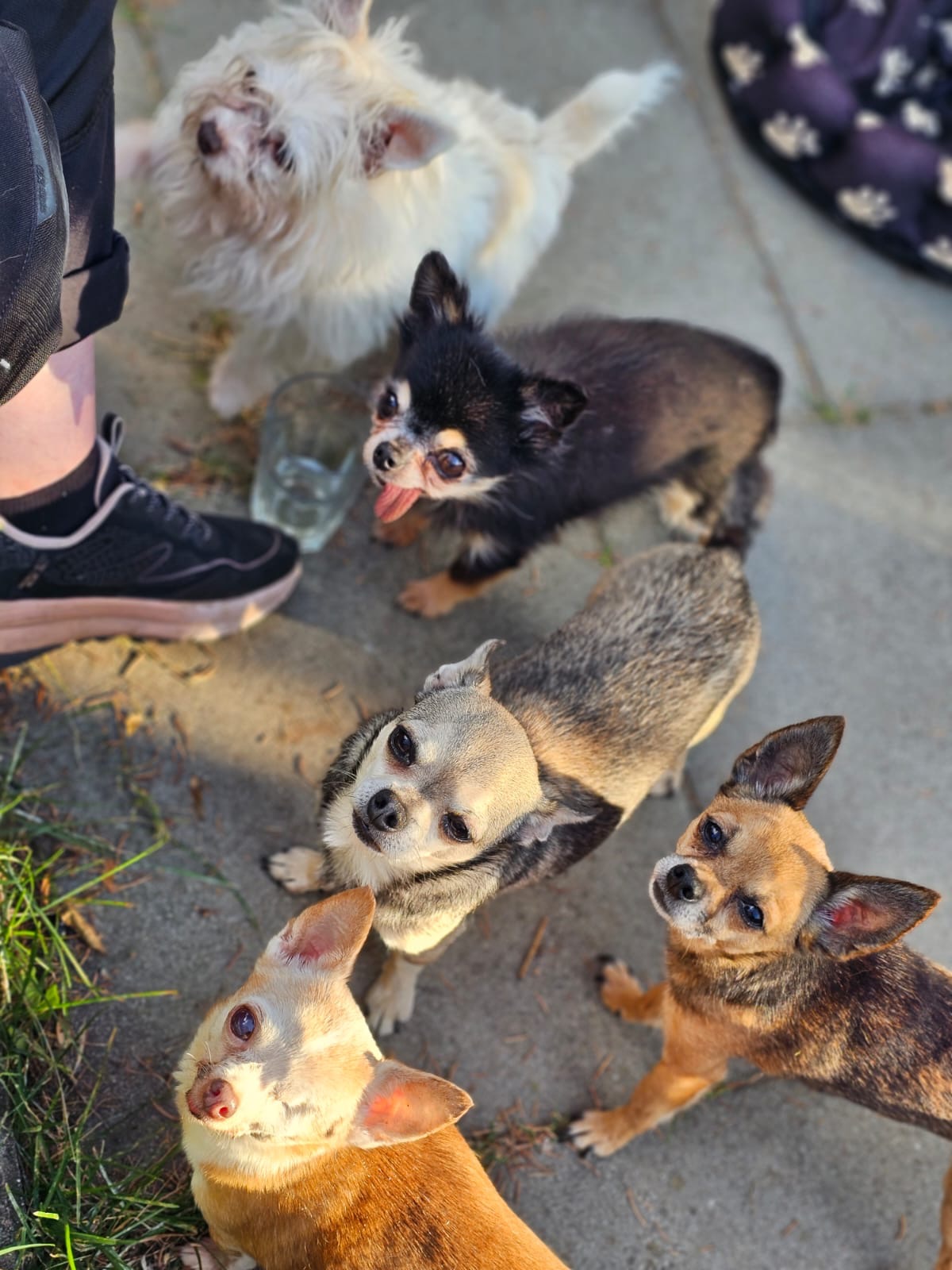 User-uploaded image 1