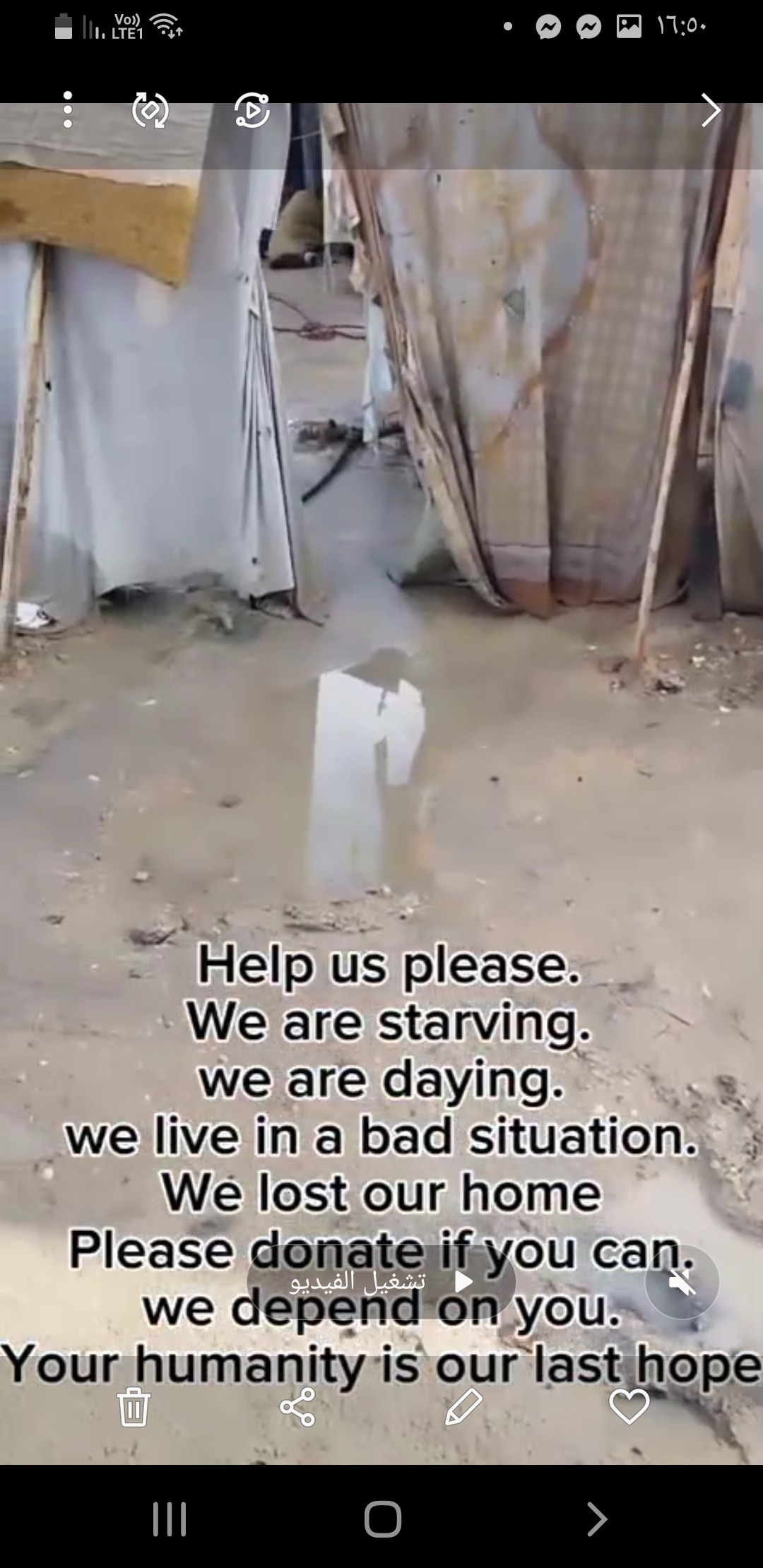 Relief for a family from Gaza. campaign photo, 2 of 8