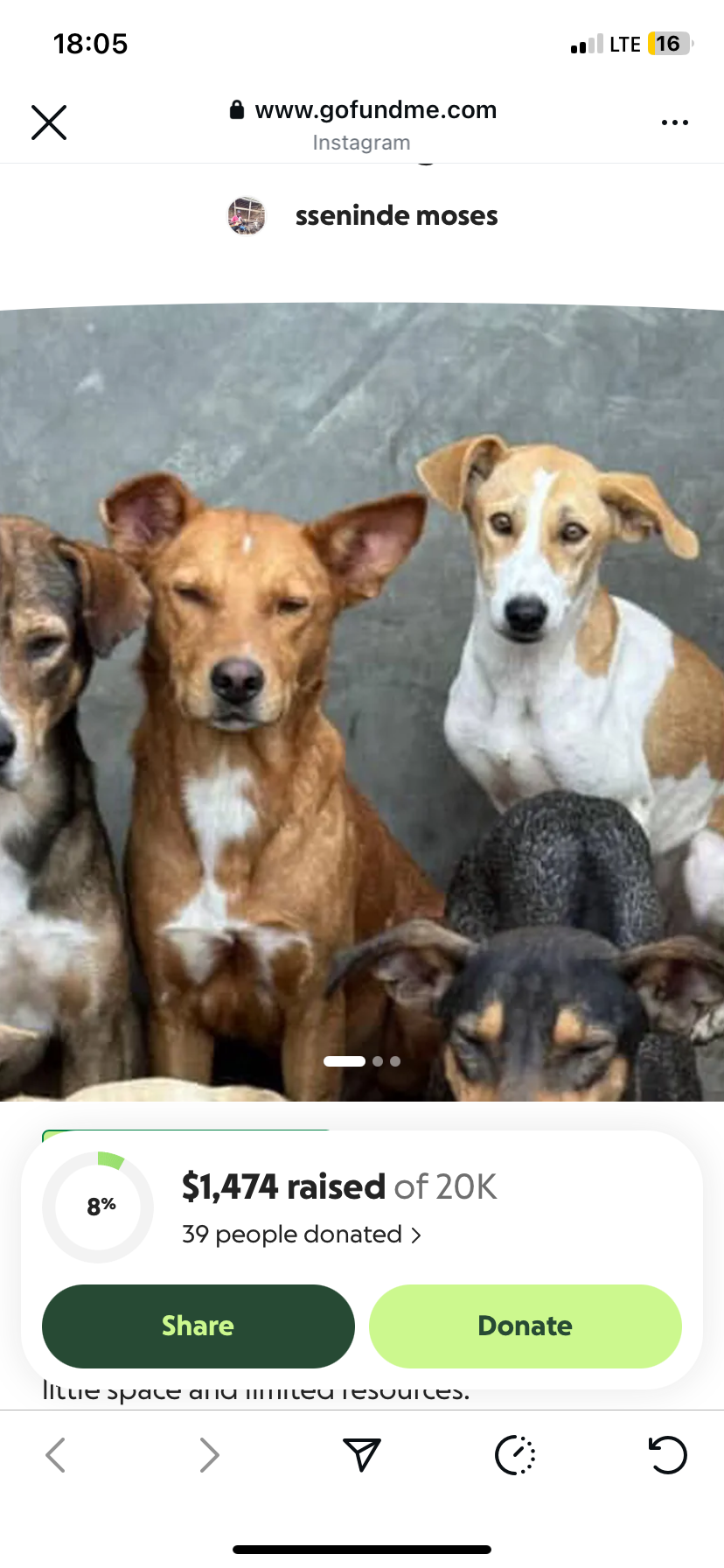 Helps us save 50 dogs at the shelter campaign photo, 2 of 4