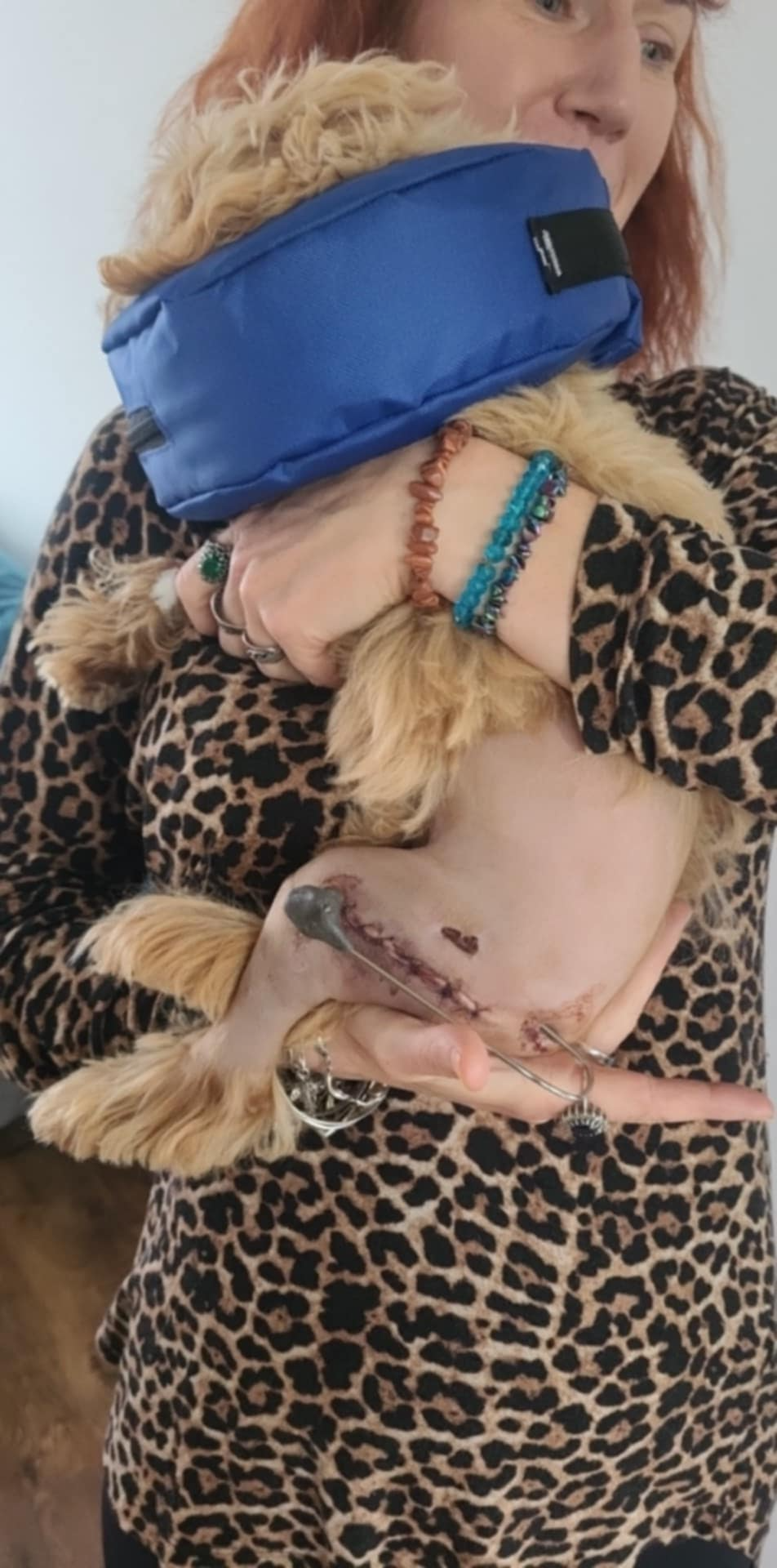 Help our tiny puppy recover from a vicious dog attack campaign photo, 5 of 6