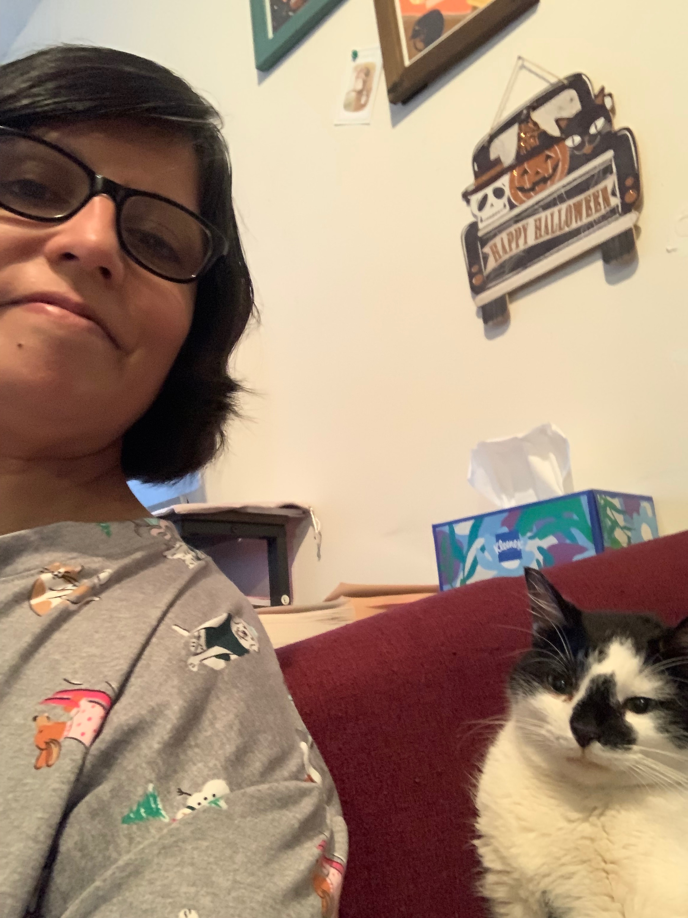 Support Matty's Urgent Vet Treatment campaign photo, 5 of 6