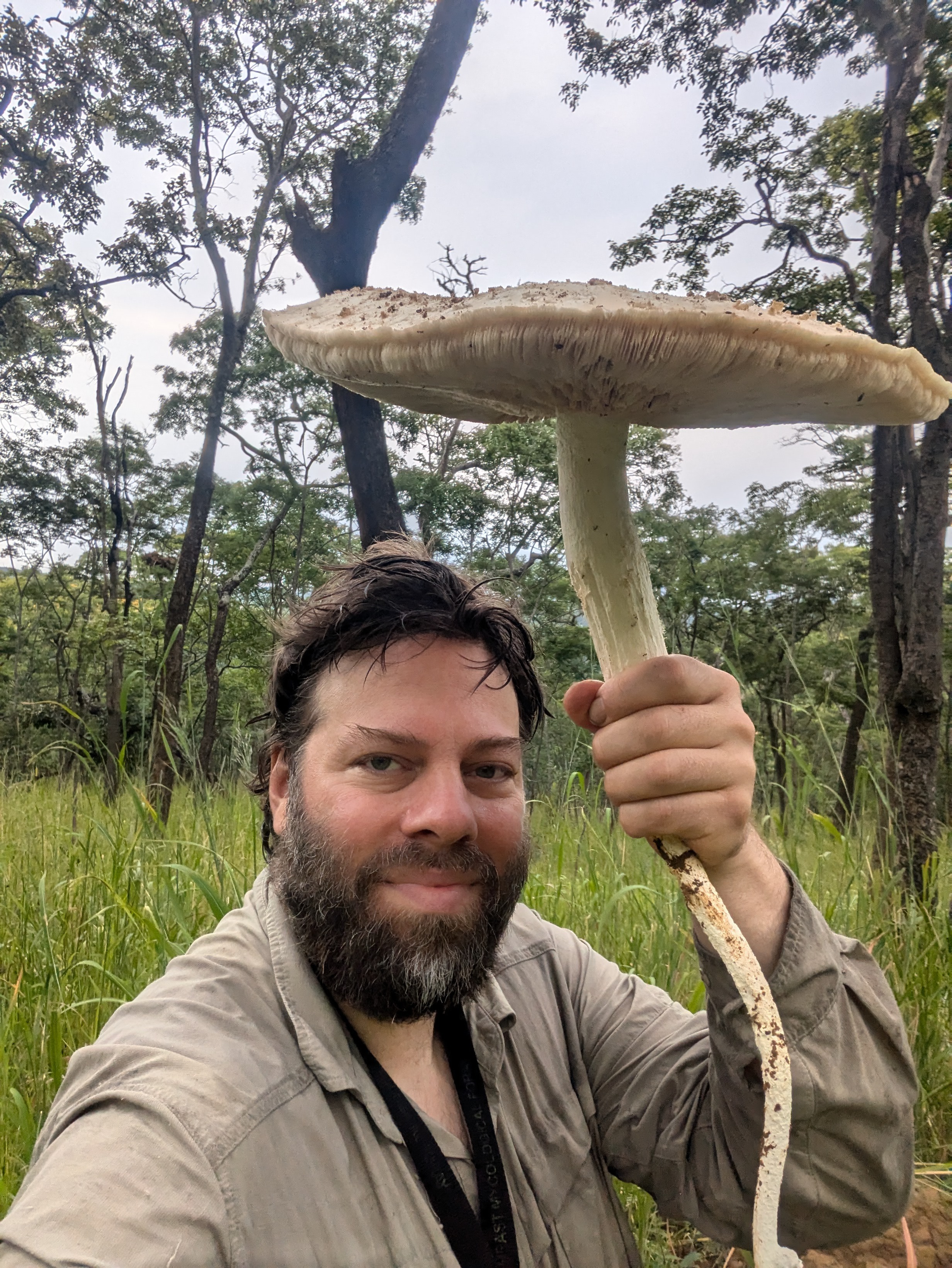 Taxonomic Research on Mushrooms and Primate Mycophagy campaign photo, 6 of 8