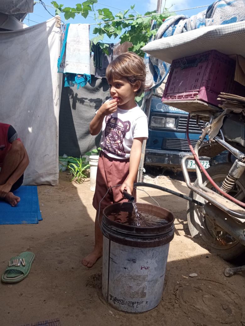 Help Um Nada's 4 Kids Survive Gaza Famine - Need Urgent Food campaign photo, 7 of 7