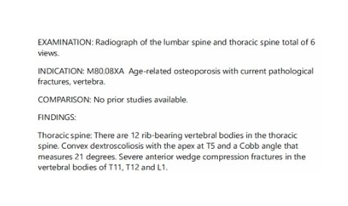 User-uploaded image 3