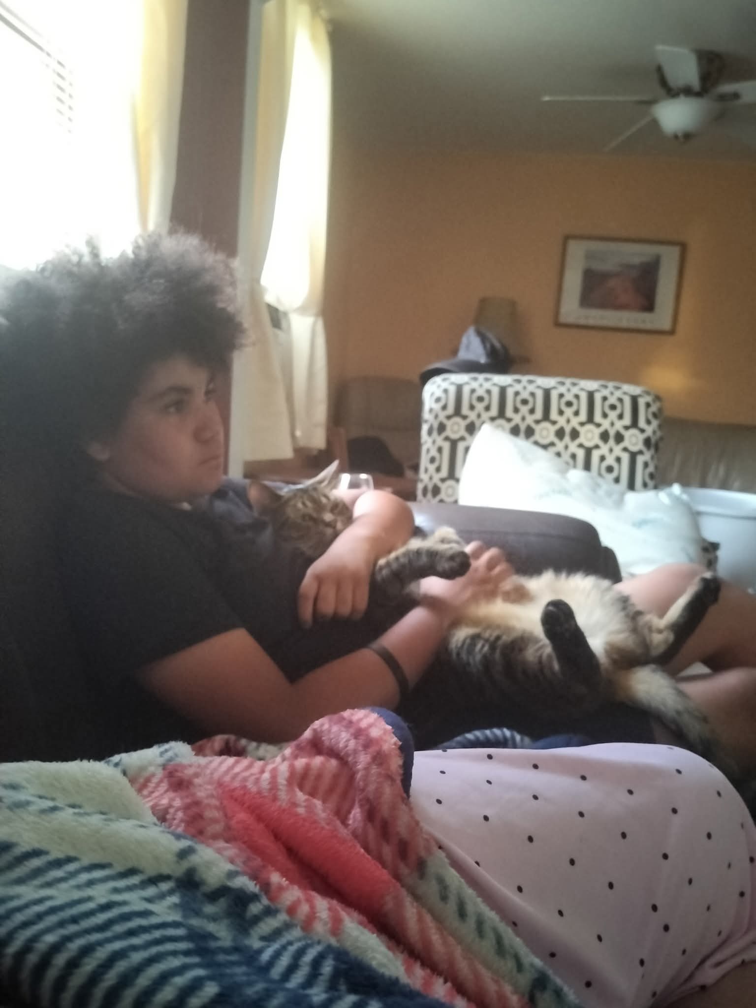 Help Emery's Cat Mike Get Urgent Vet Care campaign photo, 2 of 6