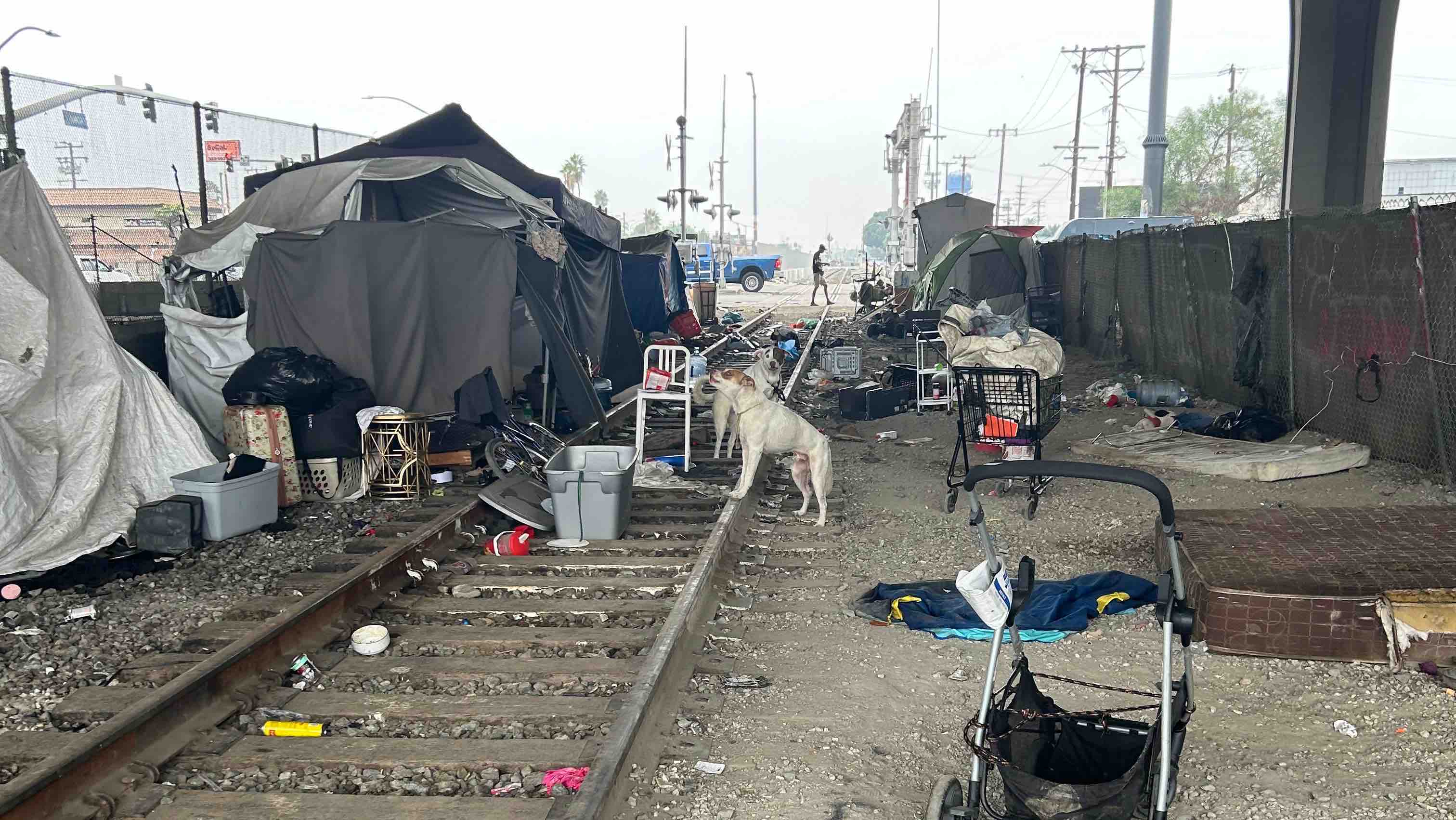 Help Compton build its own dog shelter,rescue photo