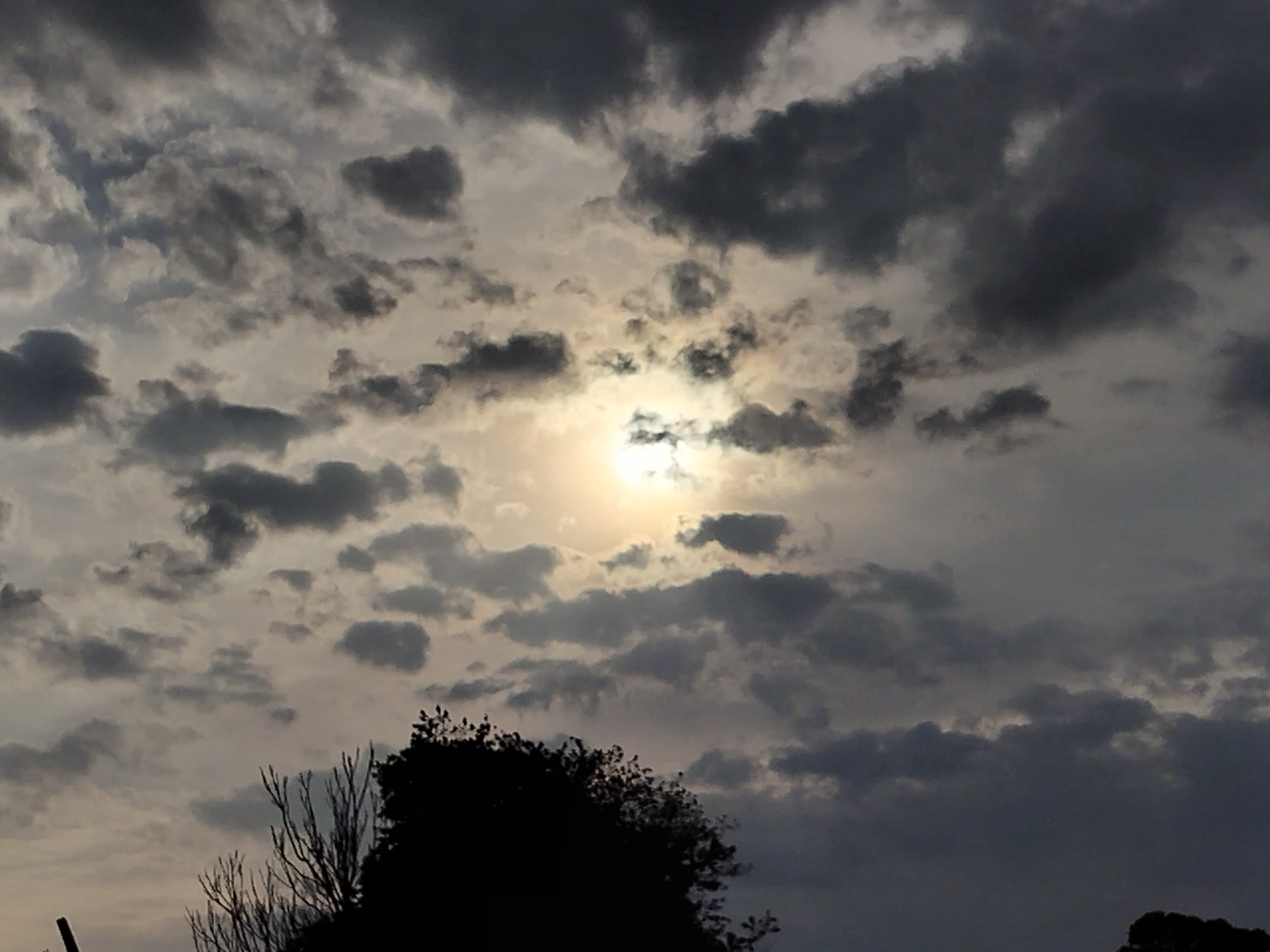 User-uploaded image 1