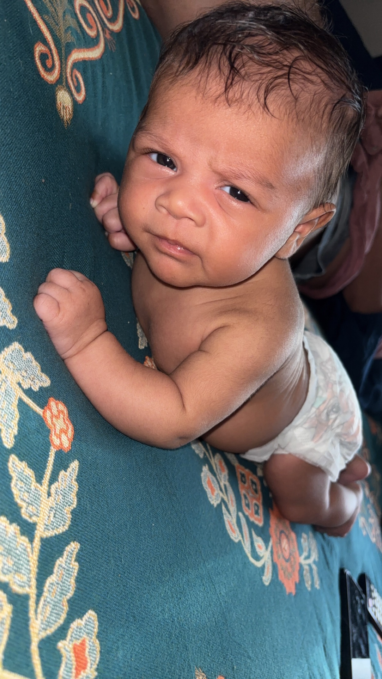 Taleiana Lilly Omarley Allen campaign photo, 5 of 8