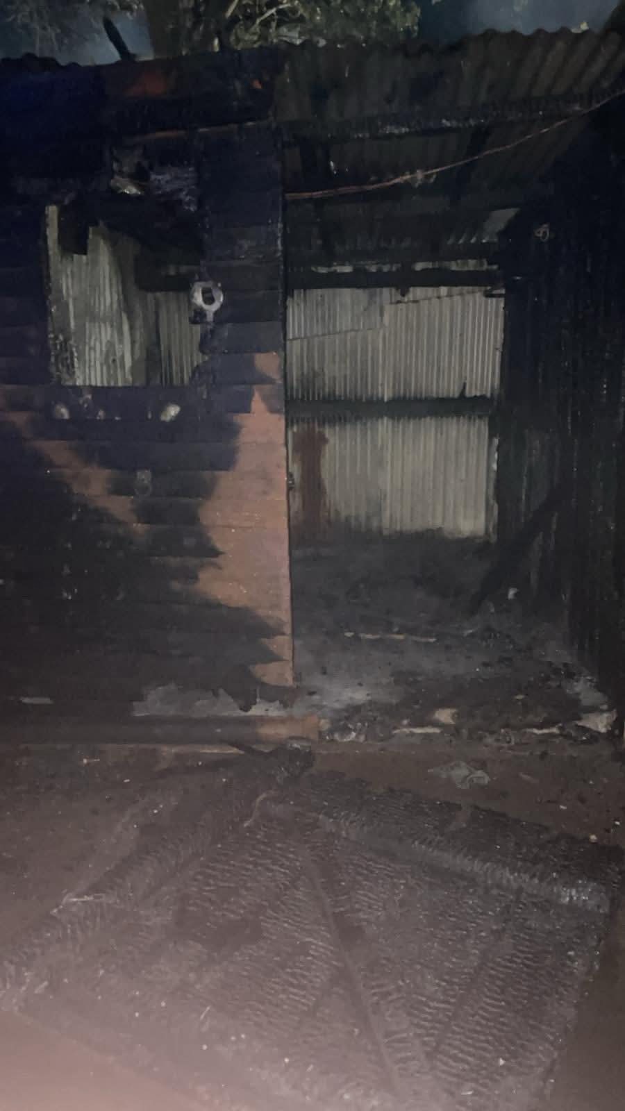 Help horses affected by fire campaign photo, 7 of 8