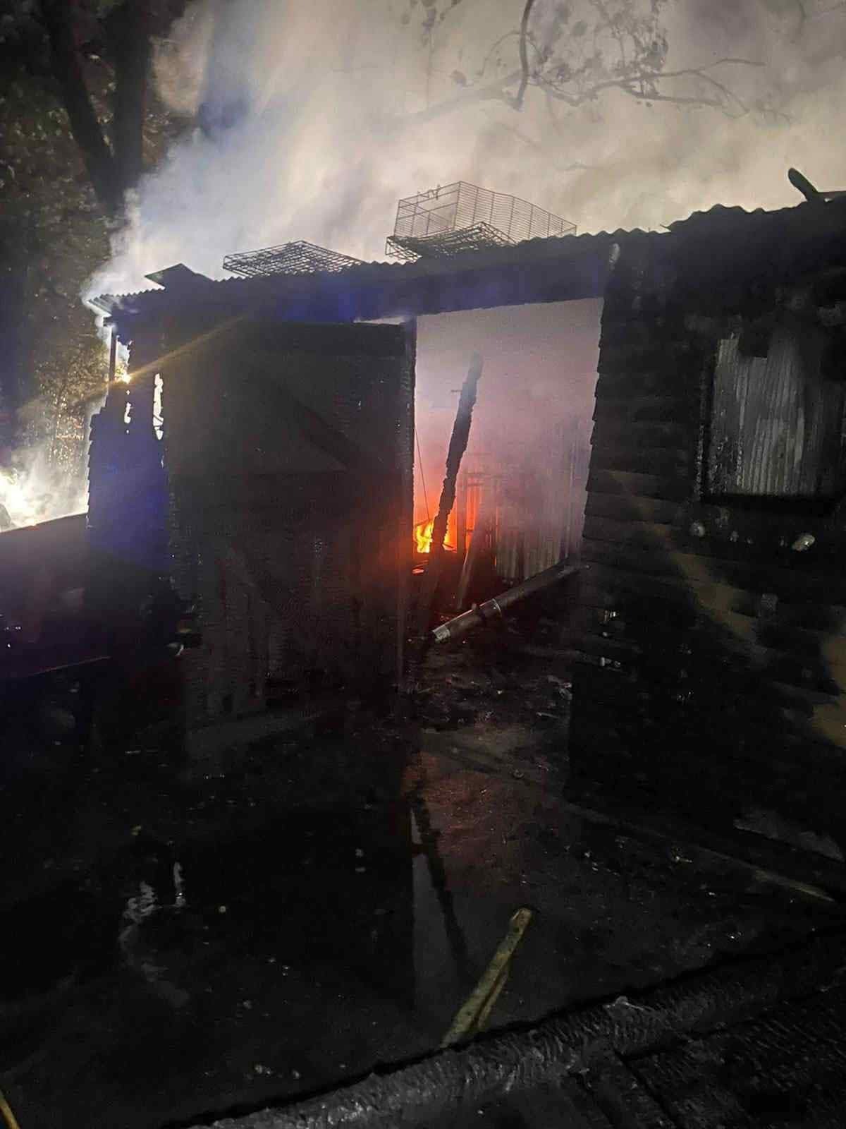 Help horses affected by fire campaign photo, 2 of 8