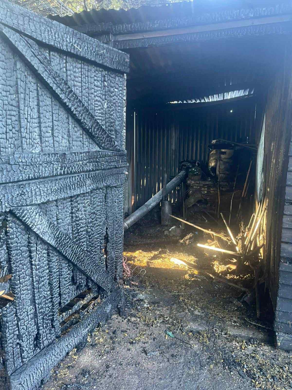 Help horses affected by fire campaign photo, 5 of 8