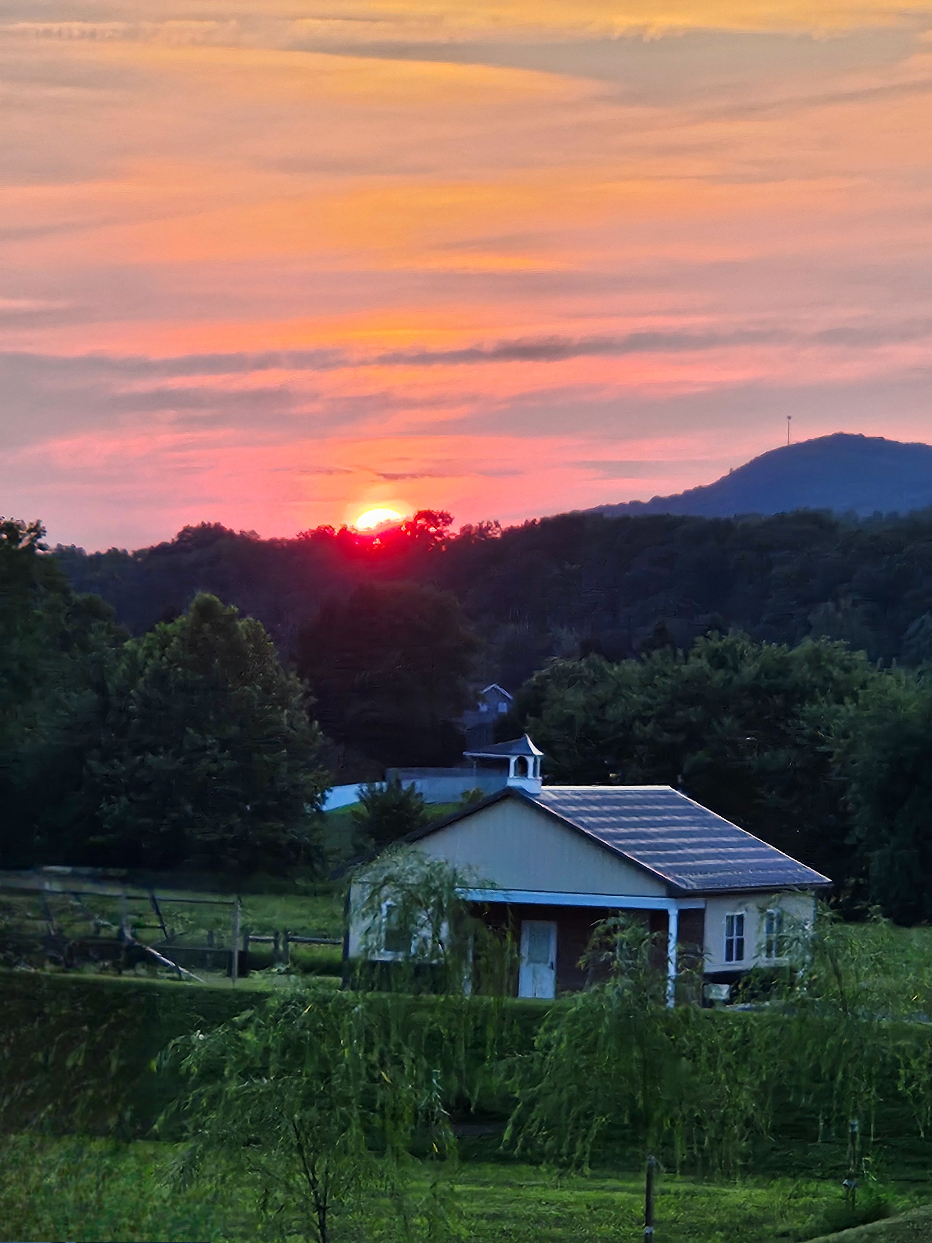 User-uploaded image 2