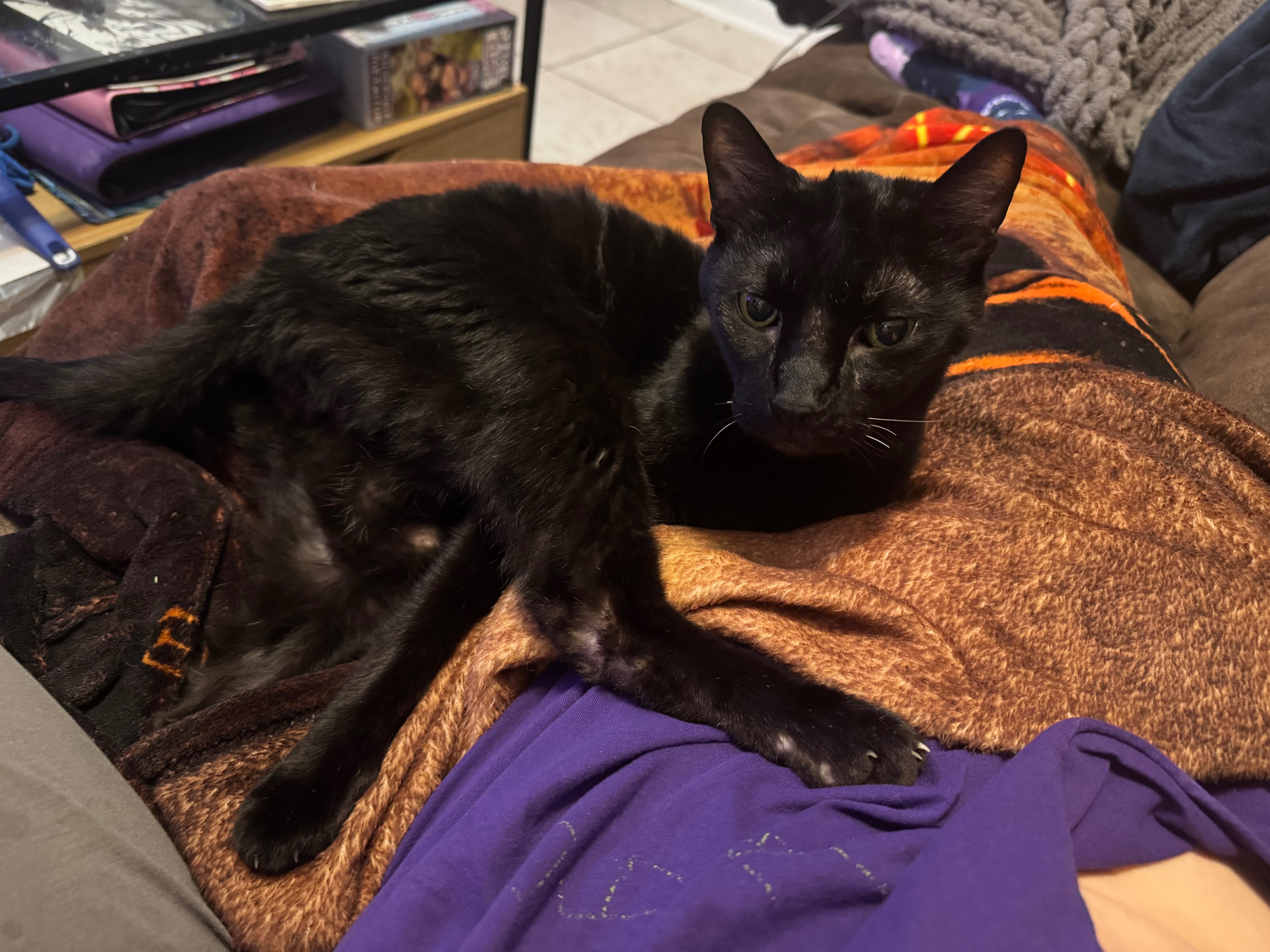 Donate to Damian Wayne Gill's Health Recovery campaign photo, 4 of 4