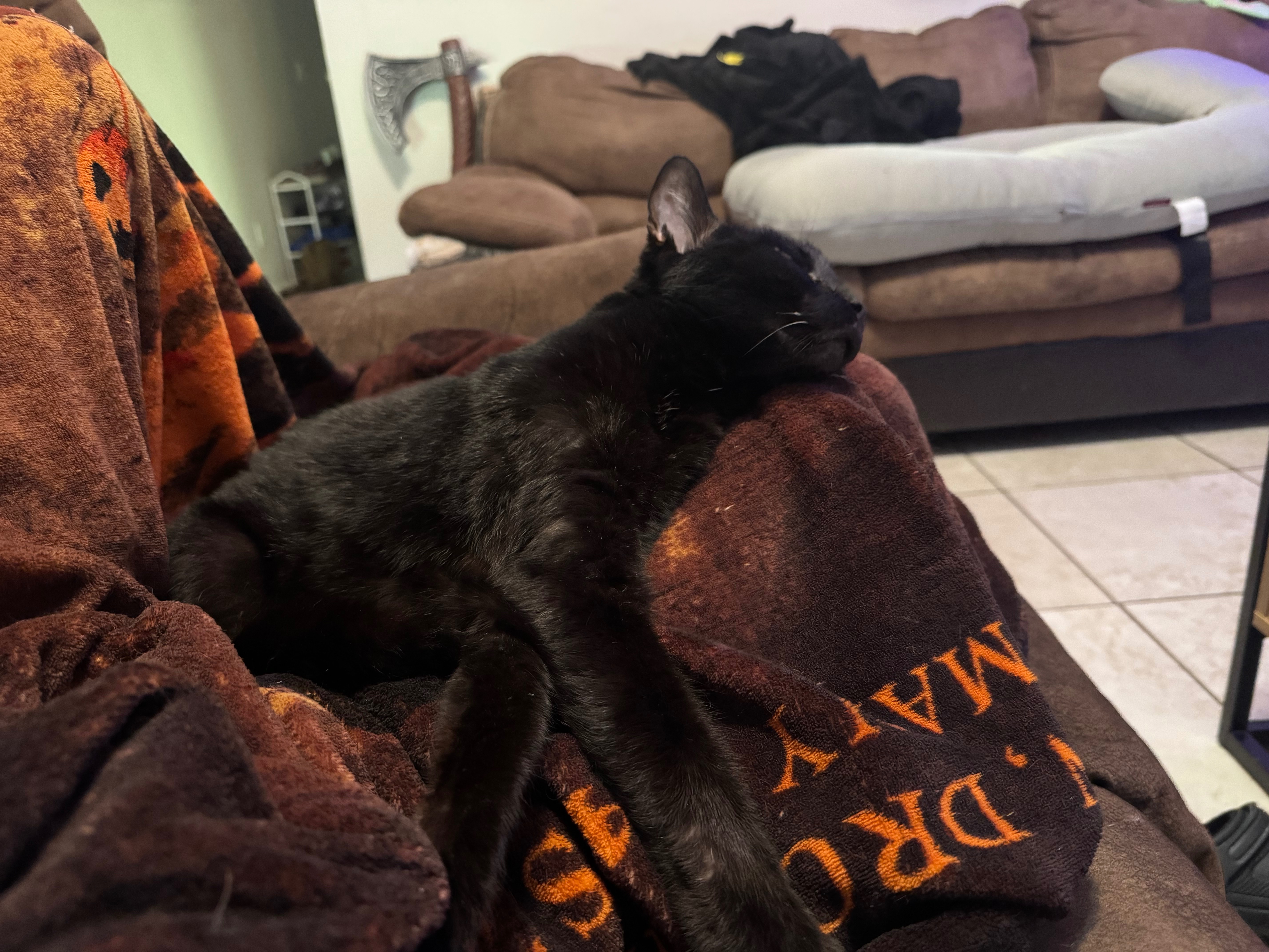 Donate to Damian Wayne Gill's Health Recovery campaign photo, 2 of 4