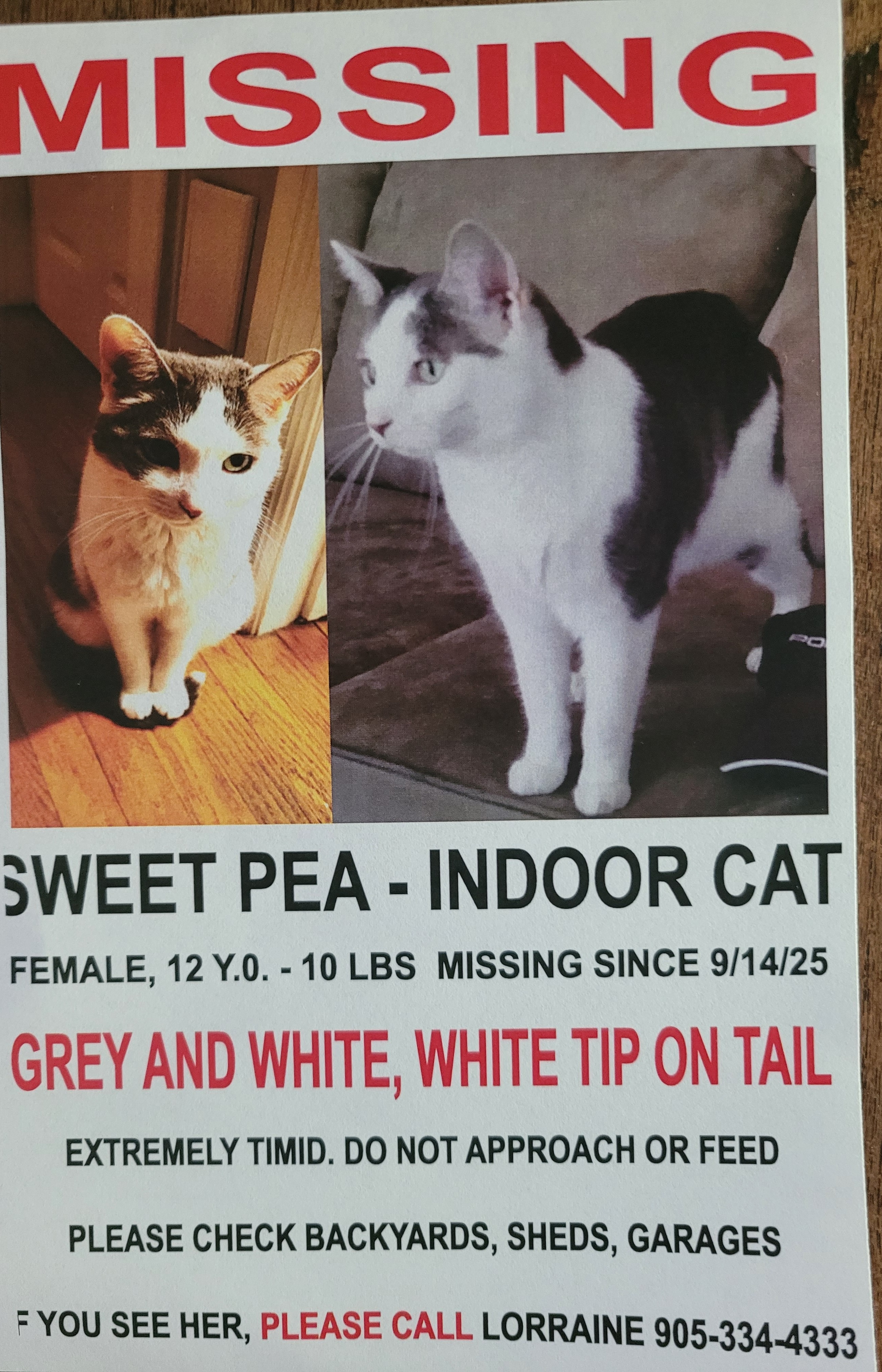 User-uploaded image 1