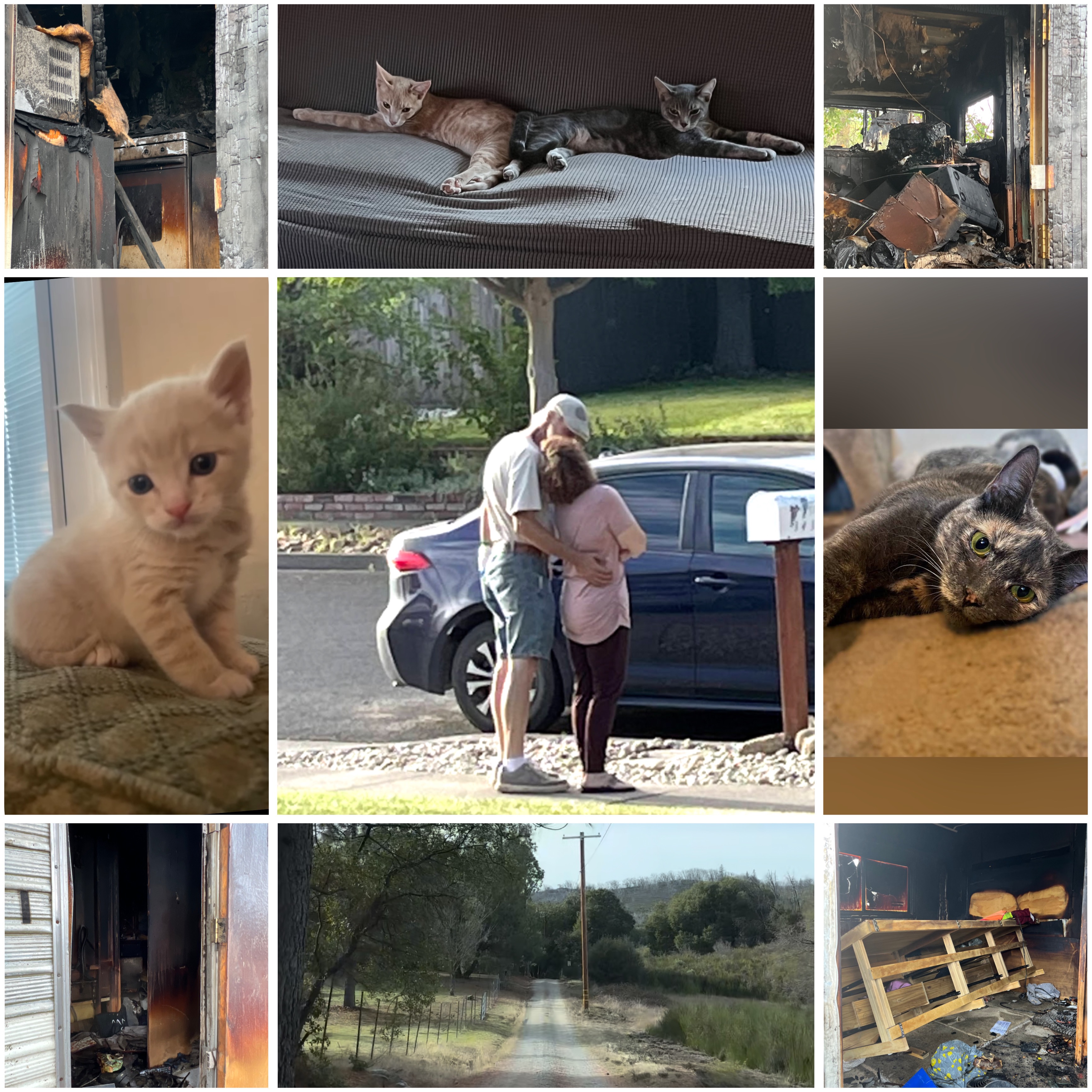 User-uploaded image 1