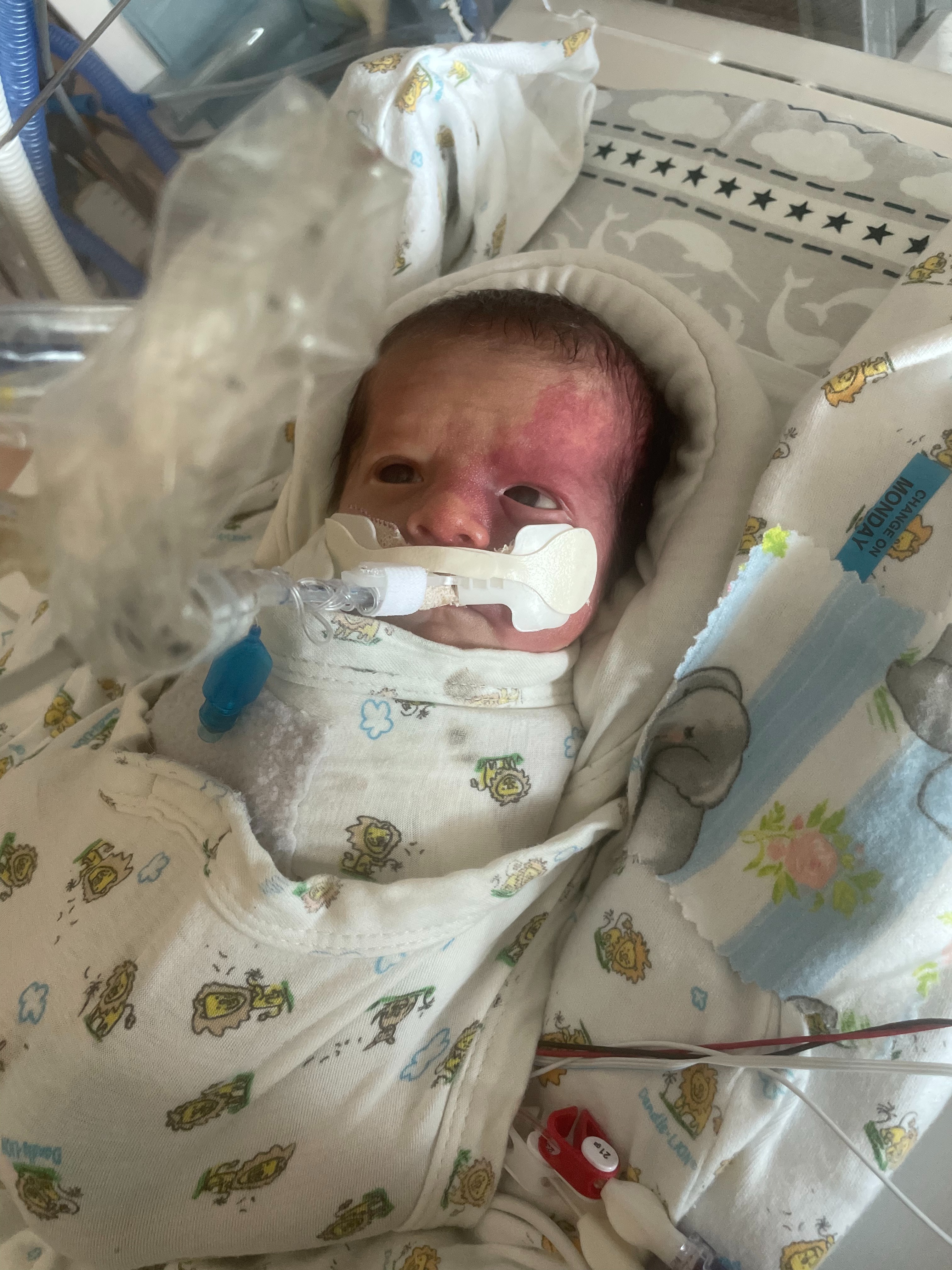 Support Elijah’s Journey! campaign photo, 7 of 8