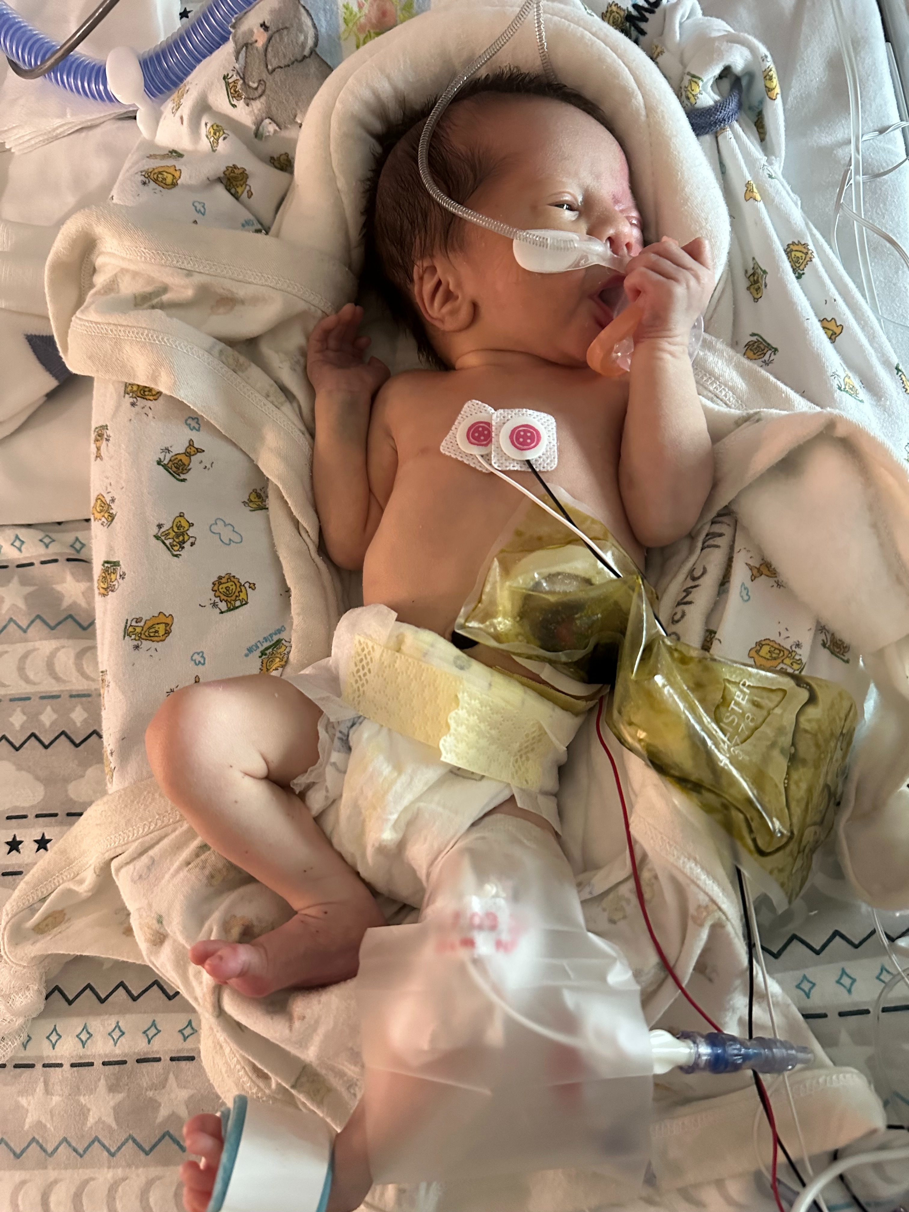 Support Elijah’s Journey! campaign photo, 6 of 8