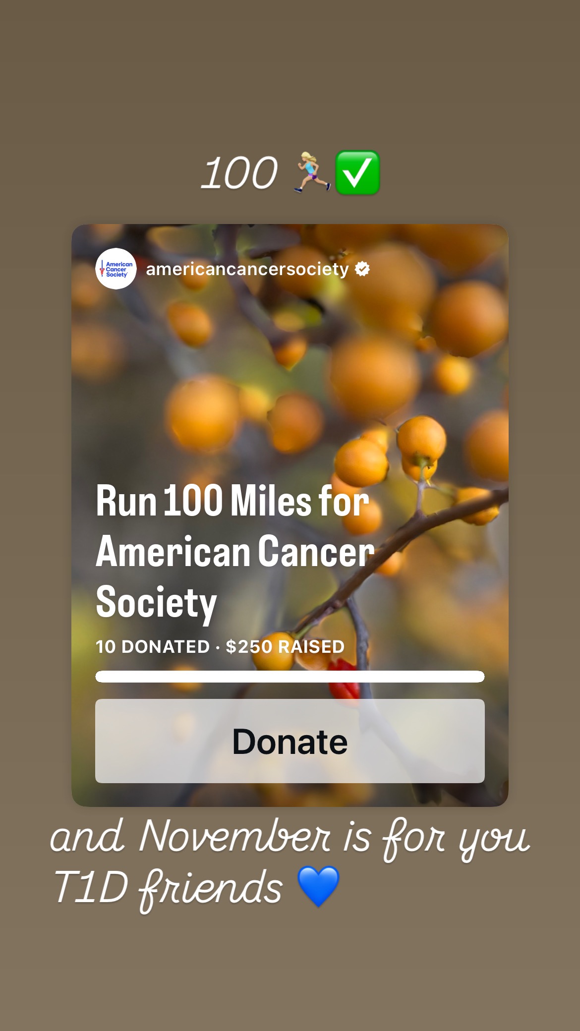Run 100 Miles for American Cancer Society campaign photo, 4 of 7