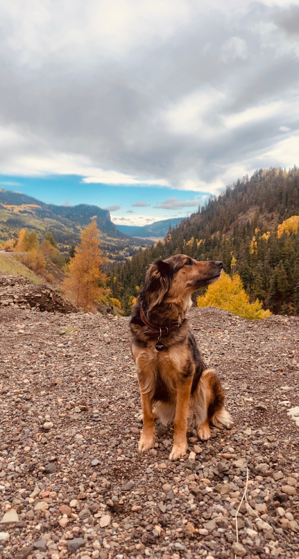 Help River Girl Get Life-Saving Surgery campaign photo, 7 of 8