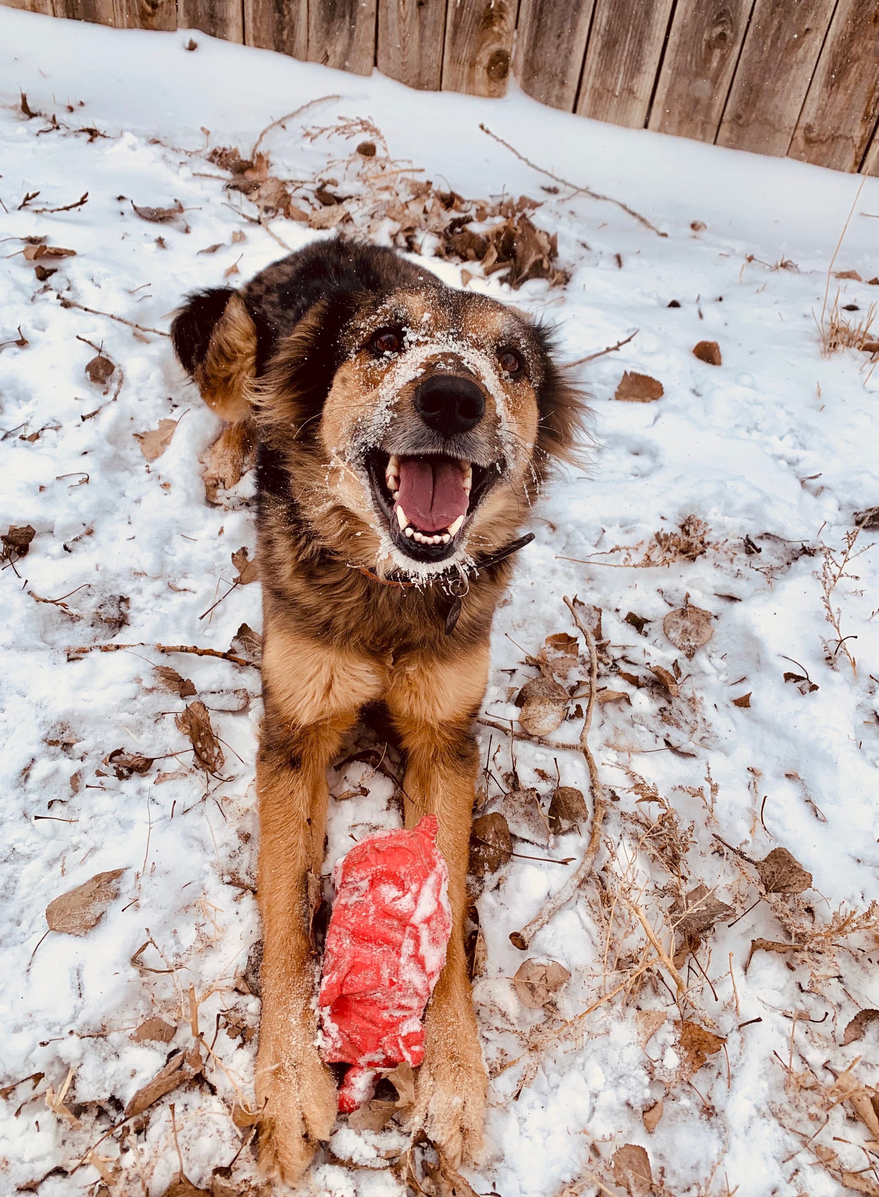 Help River Girl Get Life-Saving Surgery campaign photo, 4 of 8
