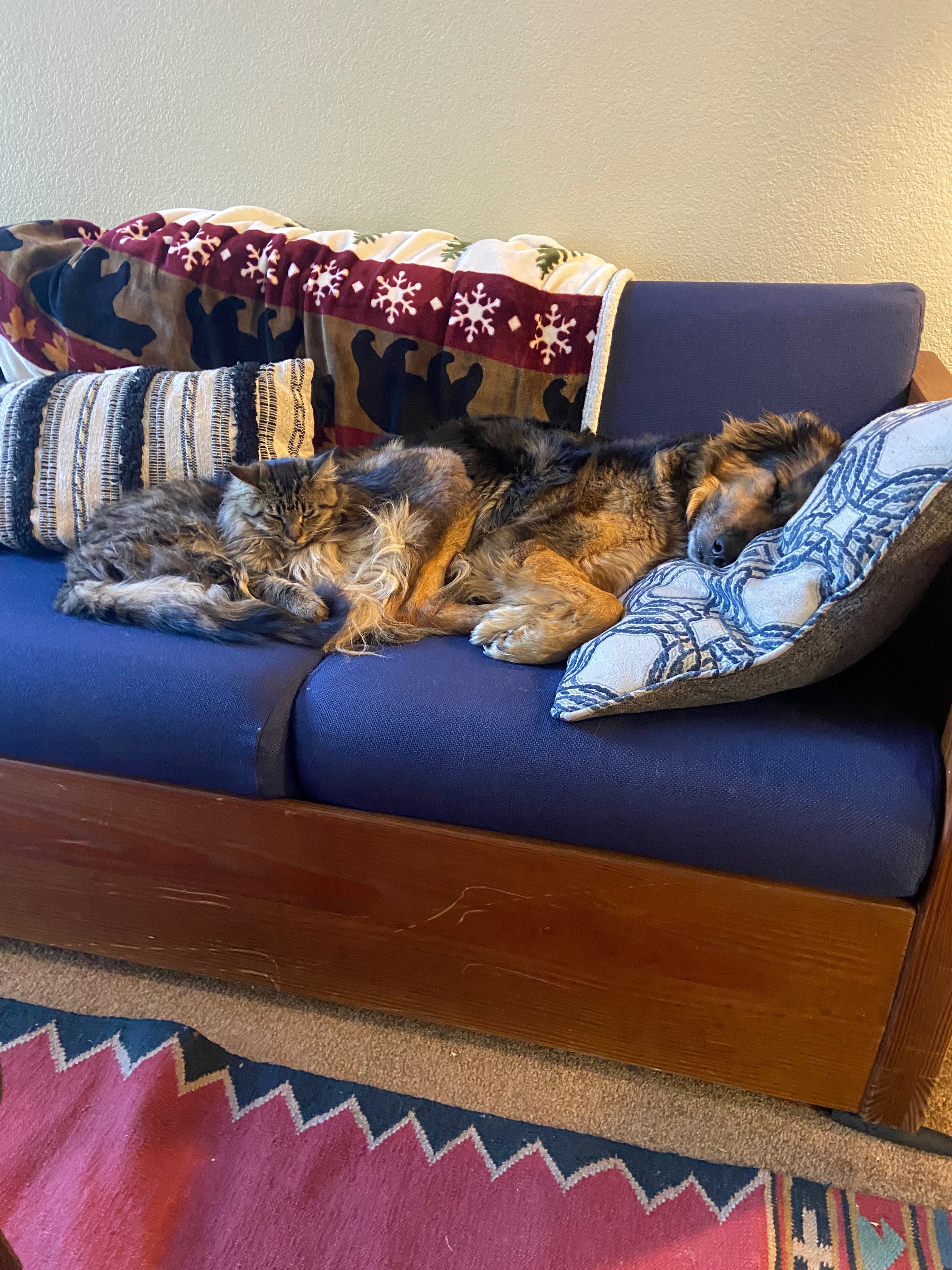 Help River Girl Get Life-Saving Surgery campaign photo, 5 of 8