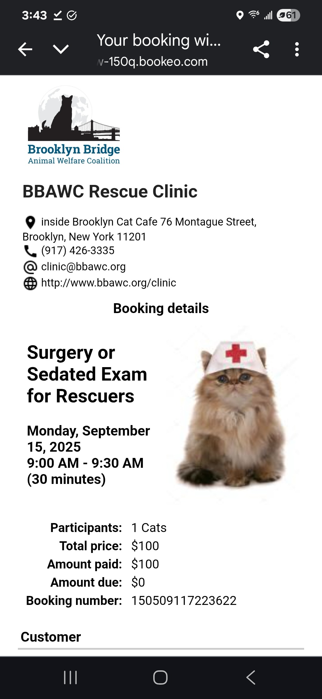 Gizmo urgently needs your help! campaign photo, 4 of 5