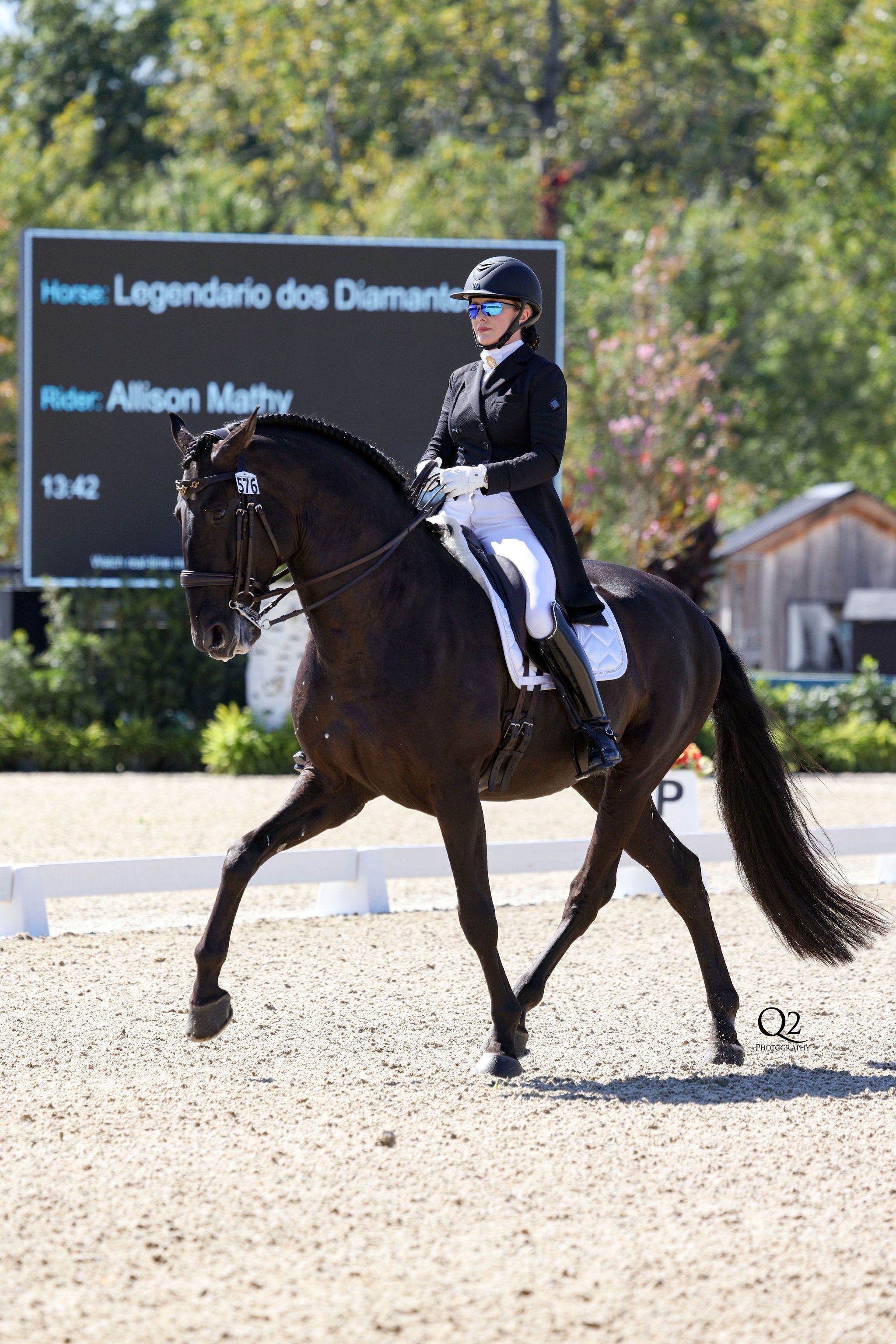 Back Allison Mathy's Dressage Dream campaign photo, 2 of 6