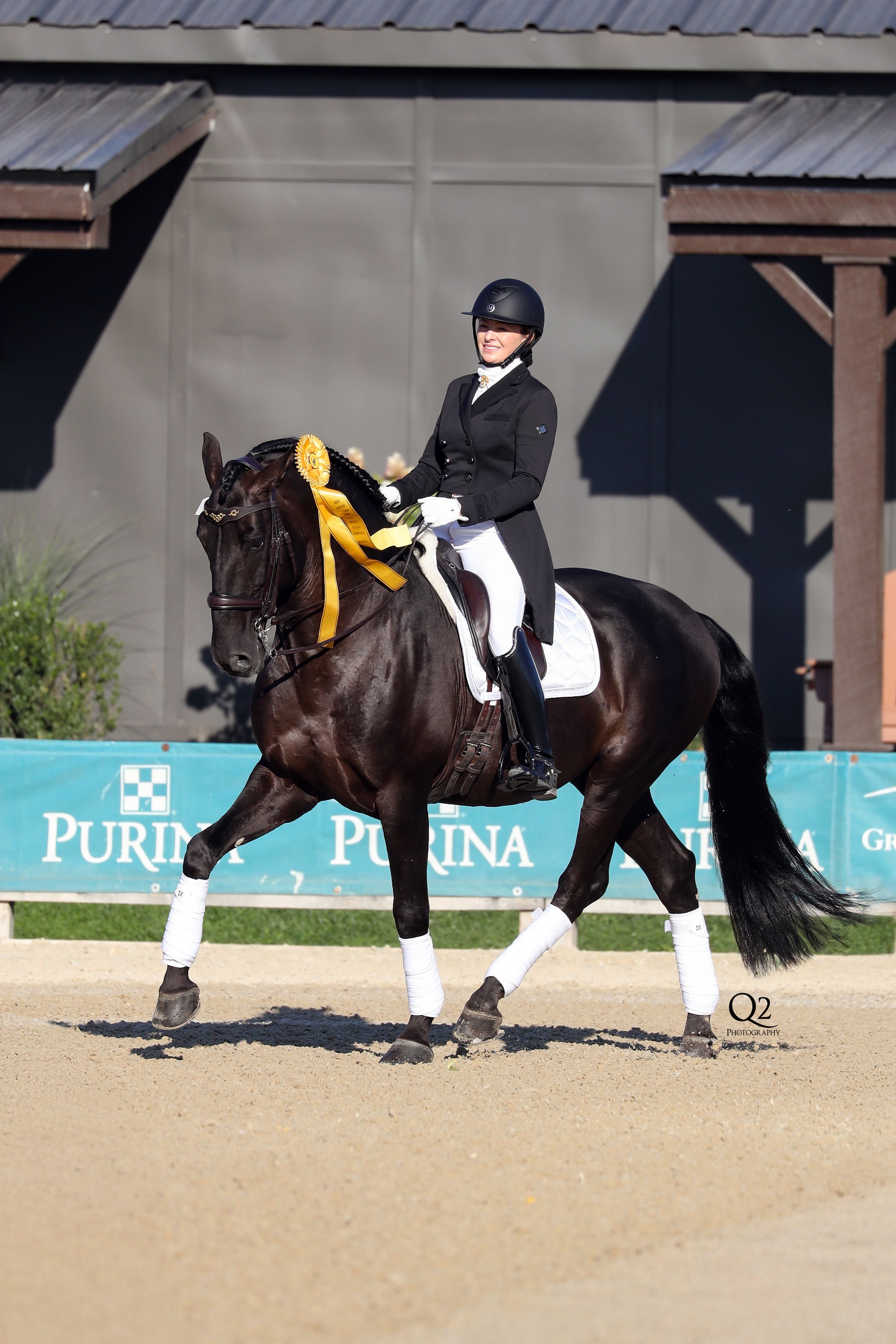 Back Allison Mathy's Dressage Dream campaign photo, 5 of 6
